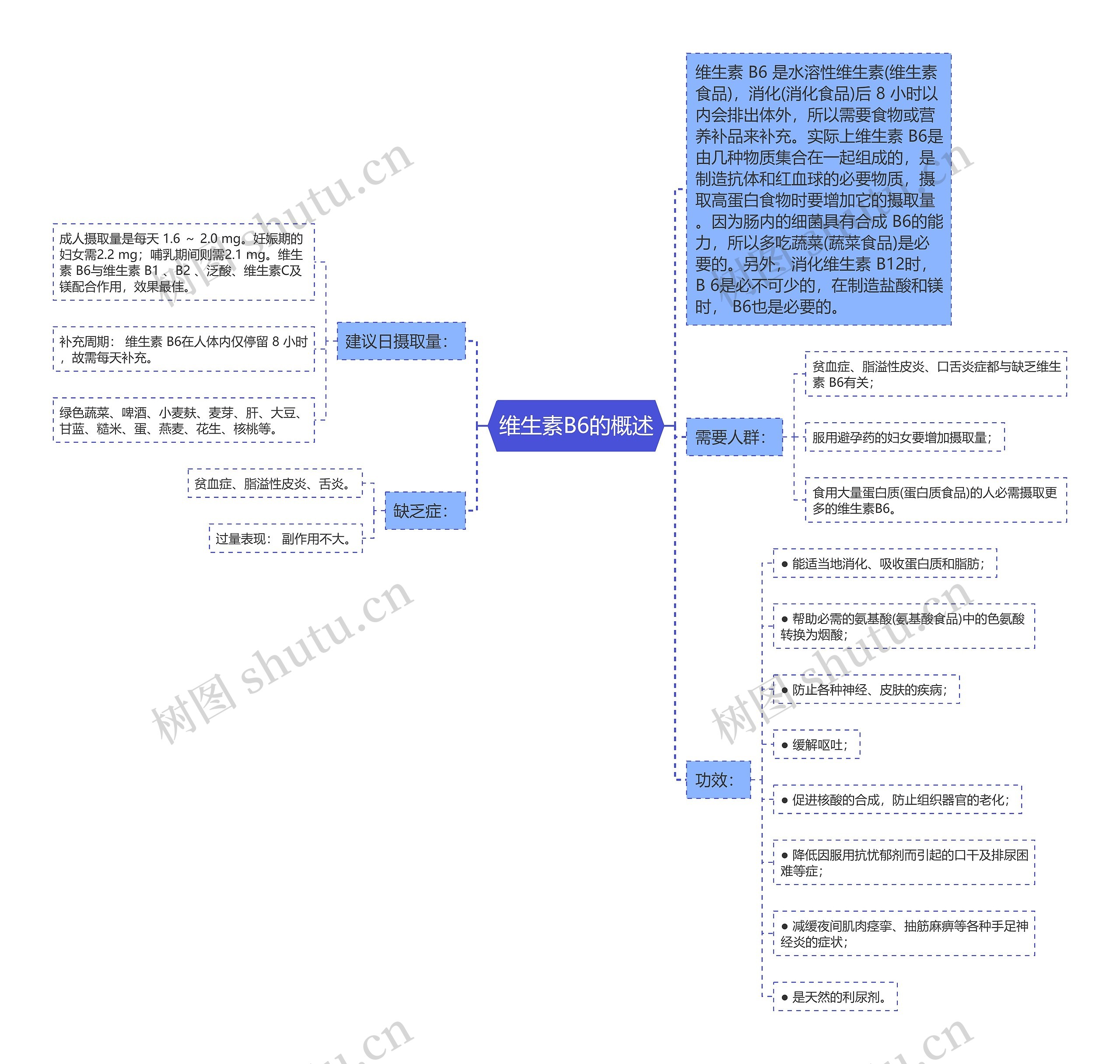 维生素B6的概述思维导图