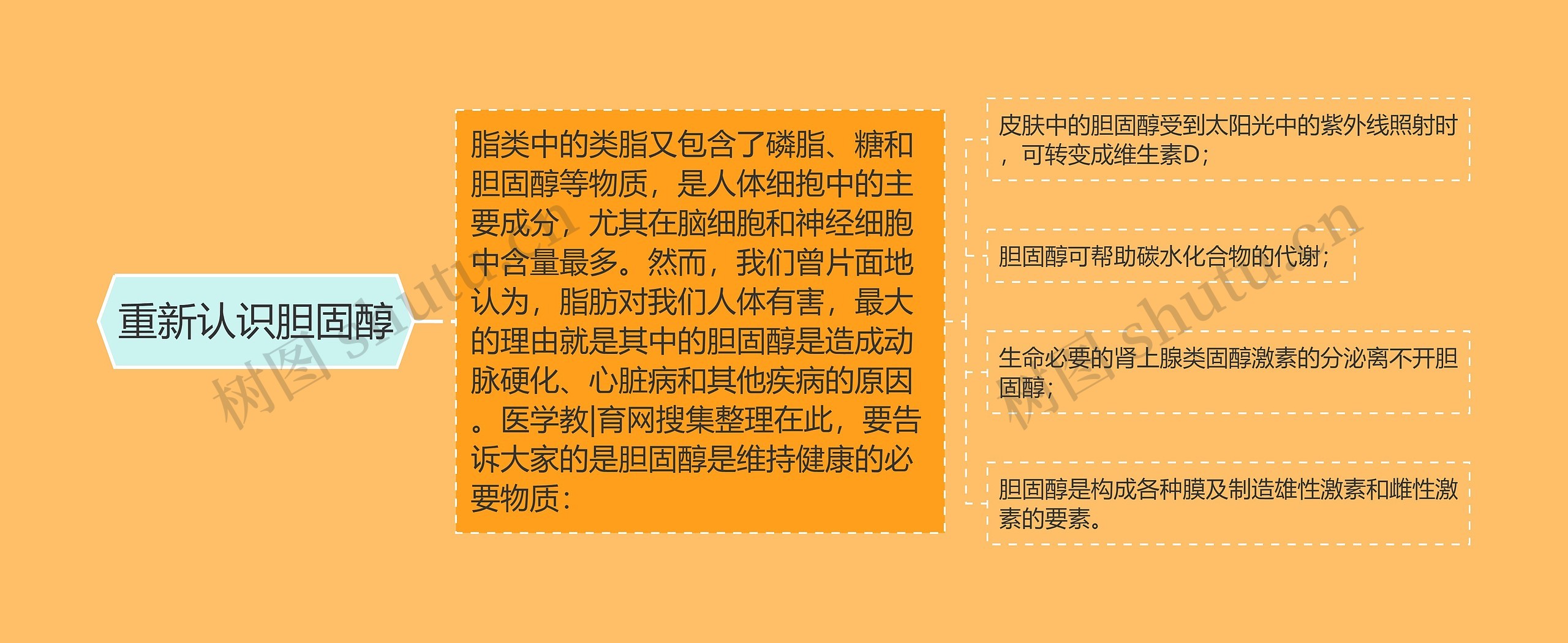 重新认识胆固醇思维导图