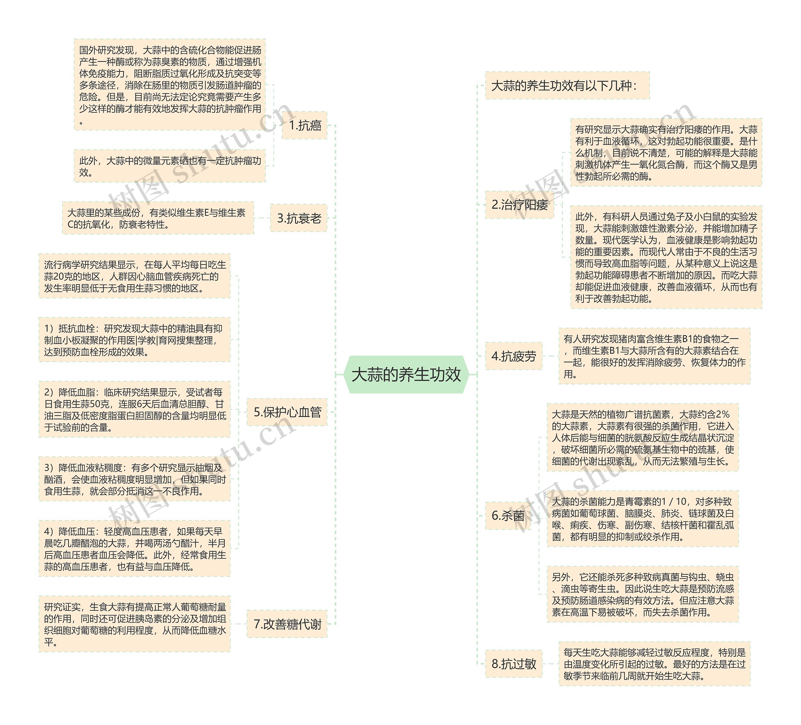 大蒜的养生功效思维导图