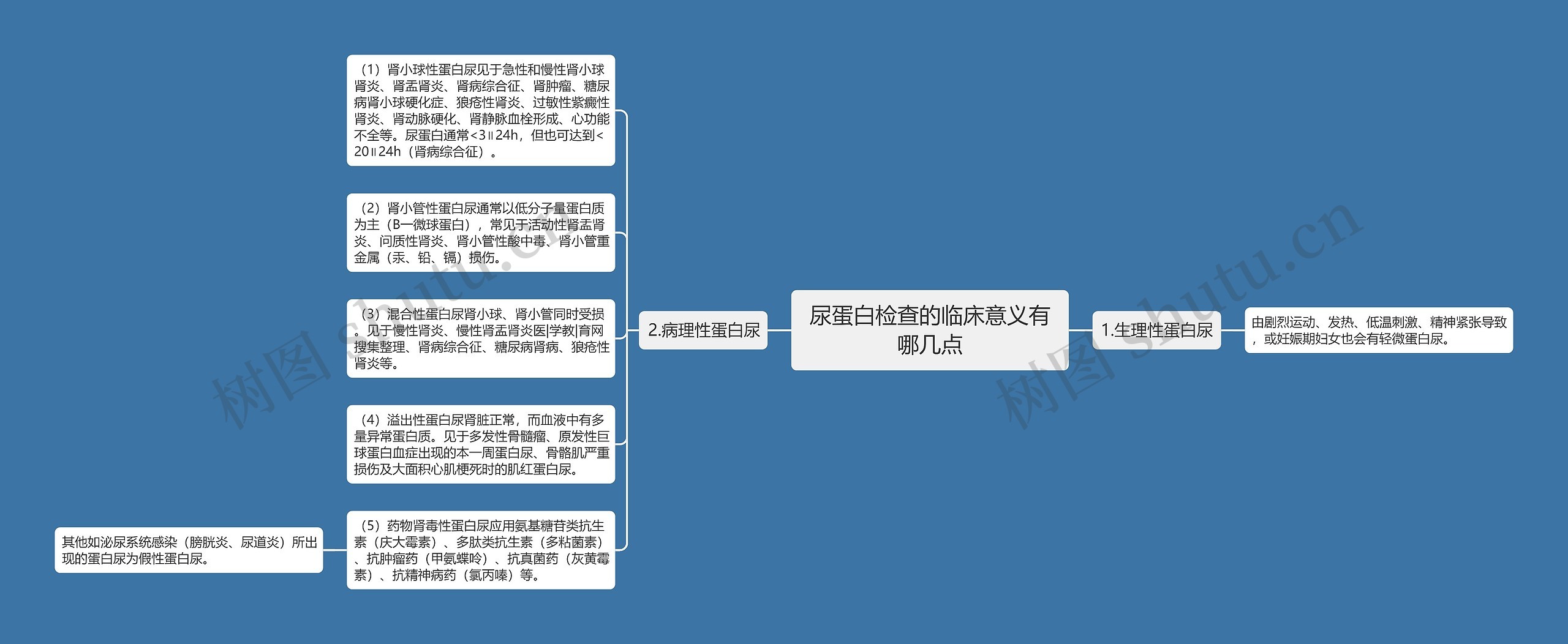 尿蛋白检查的临床意义有哪几点思维导图