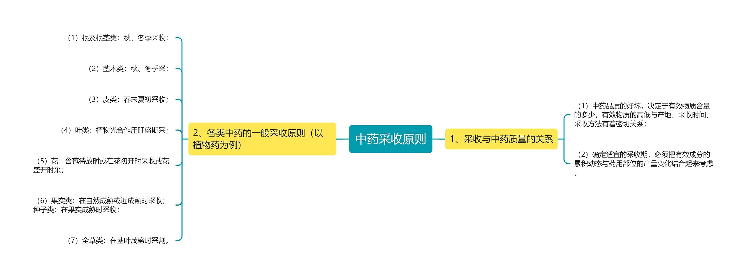 中药采收原则思维导图