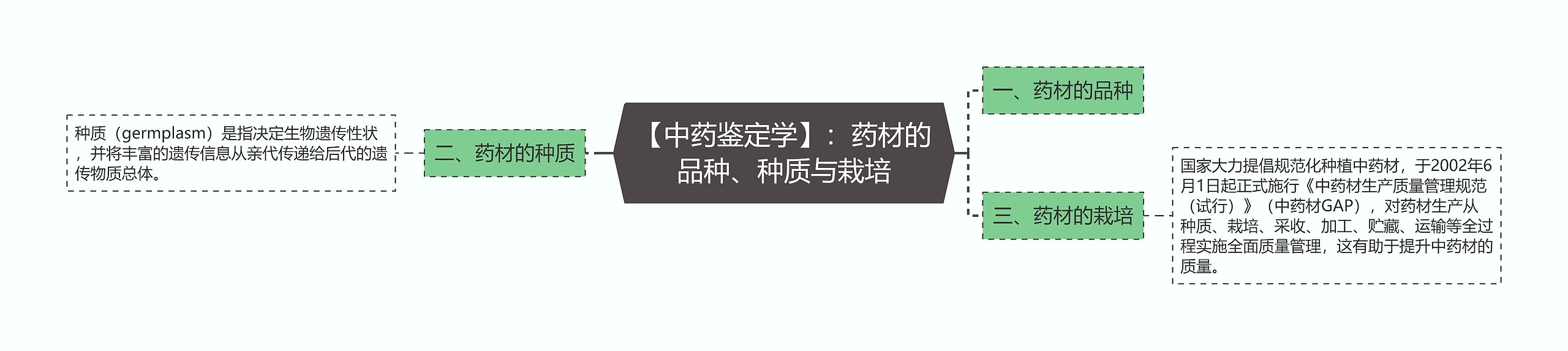 【中药鉴定学】：药材的品种、种质与栽培思维导图