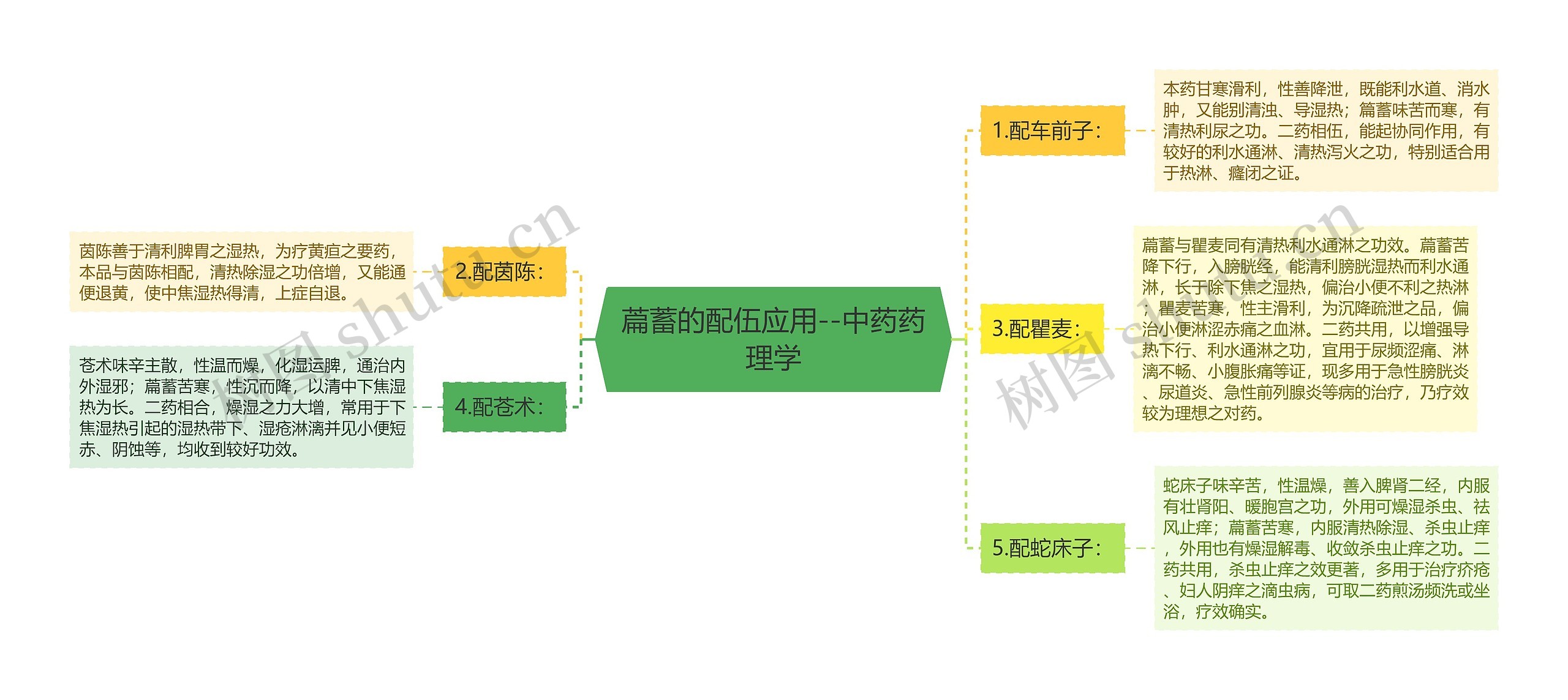 萹蓄的配伍应用--中药药理学思维导图