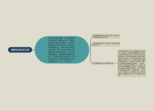 细胞免疫应答过程