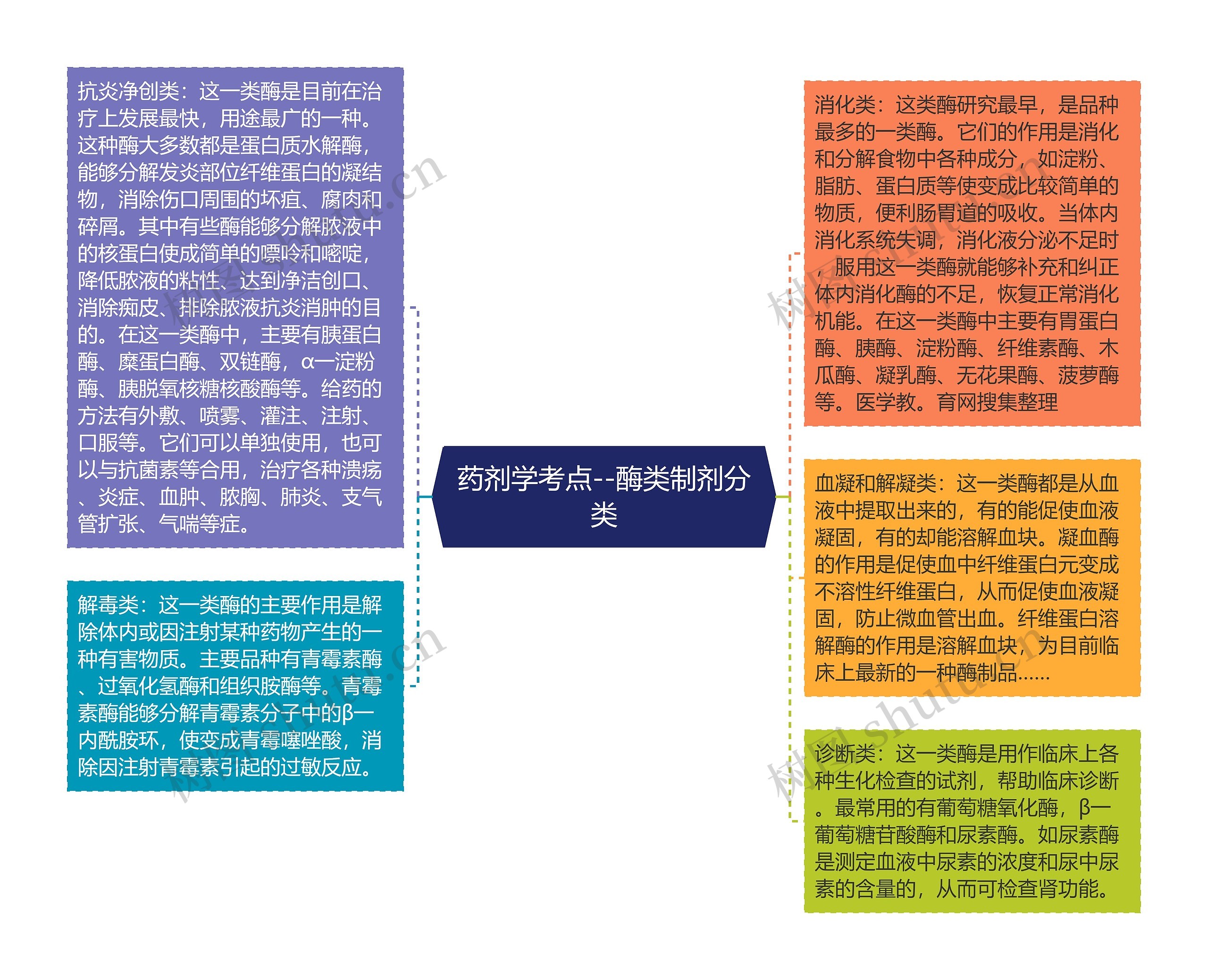 药剂学考点--酶类制剂分类思维导图