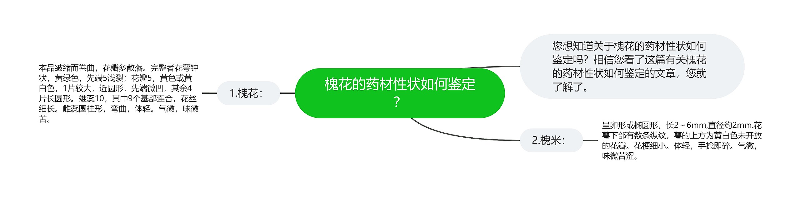 槐花的药材性状如何鉴定？思维导图