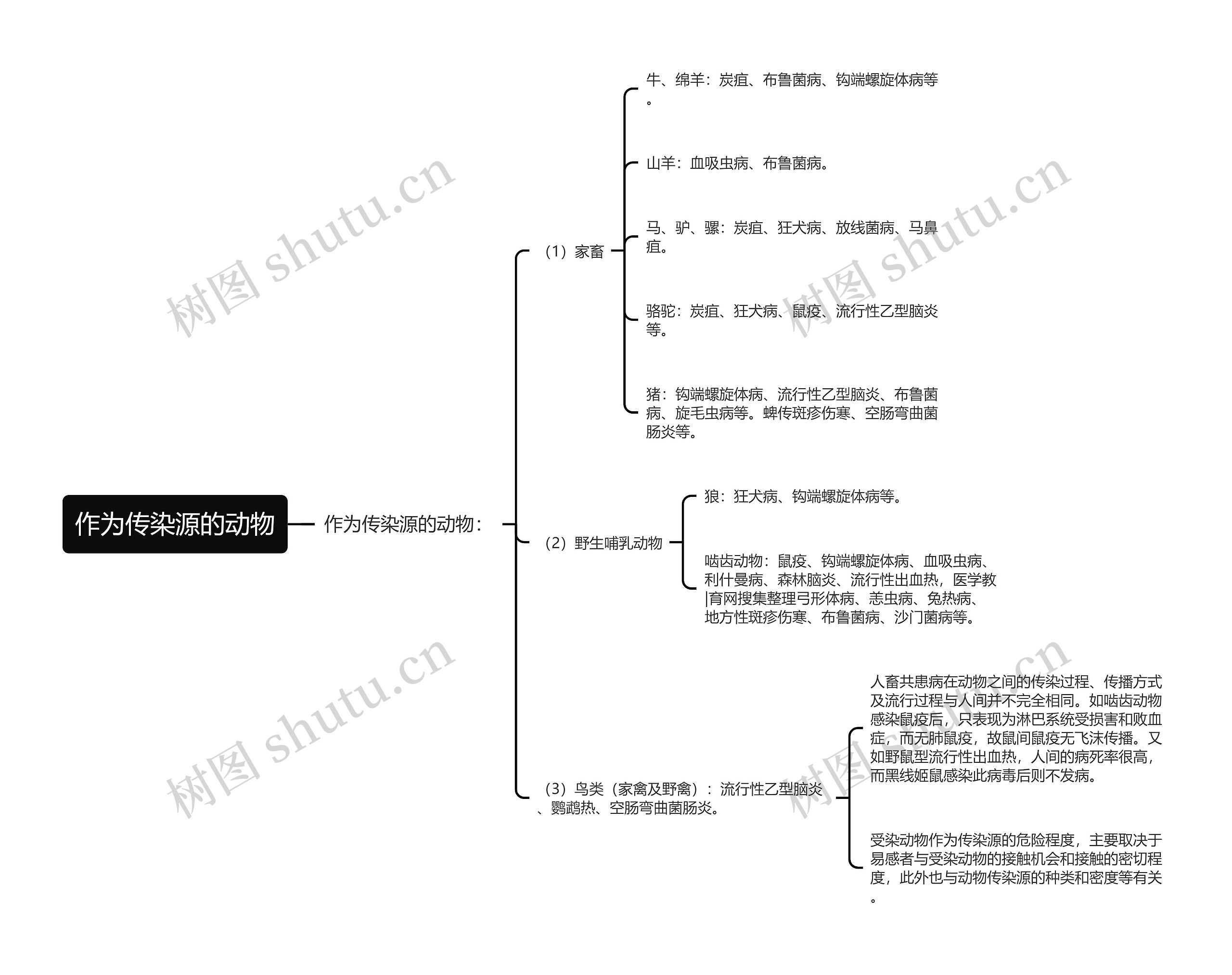作为传染源的动物思维导图
