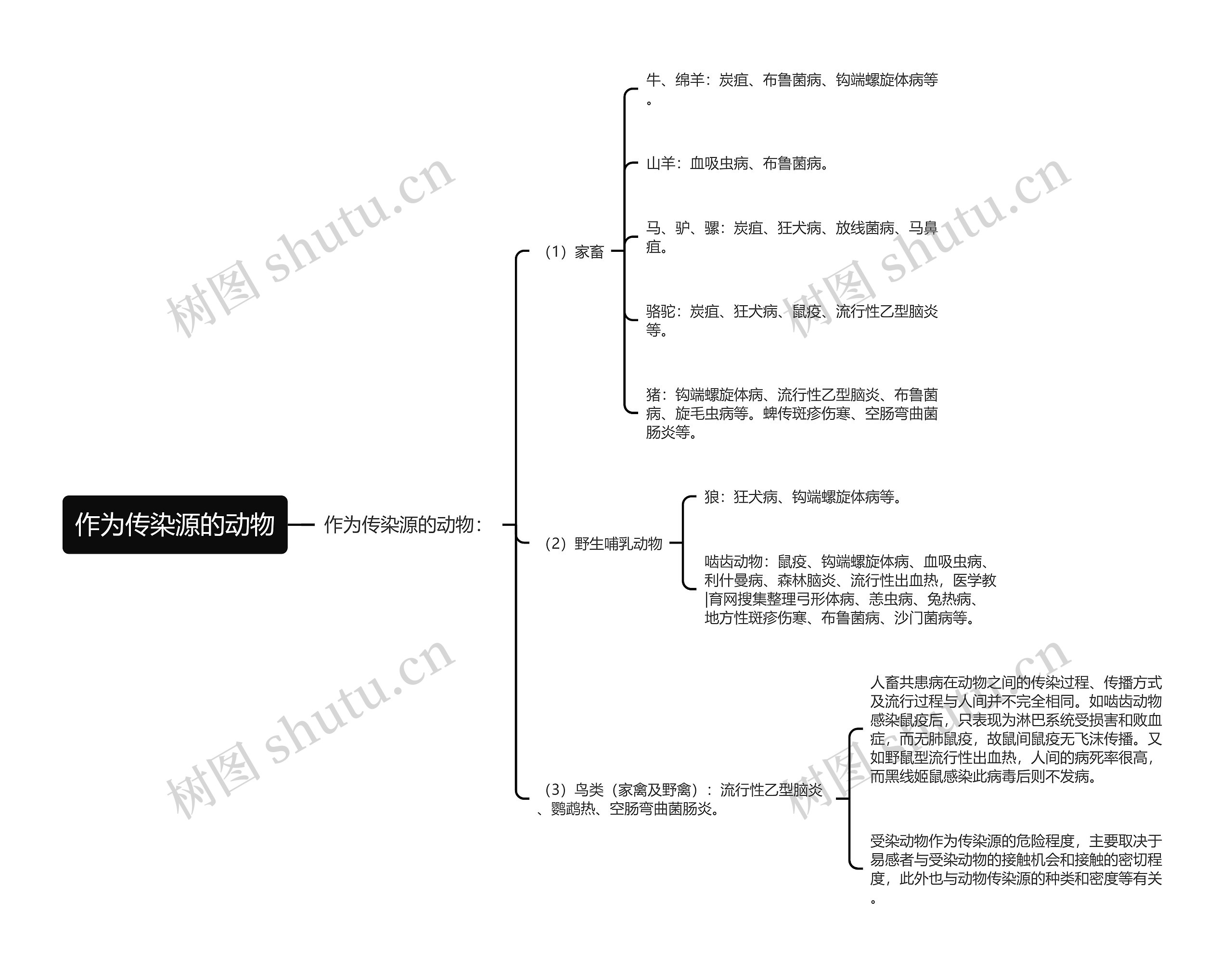 作为传染源的动物 作为传染源的动物