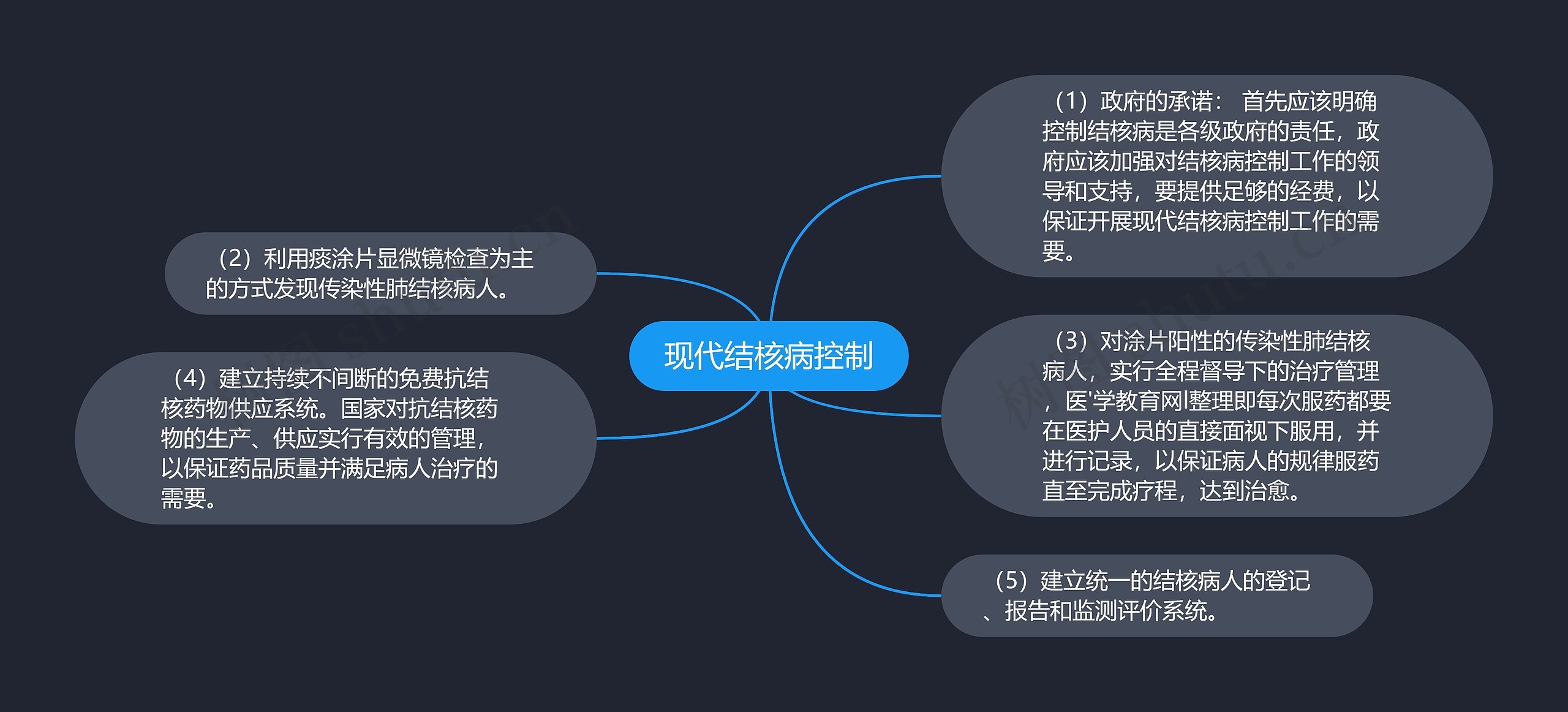 现代结核病控制思维导图