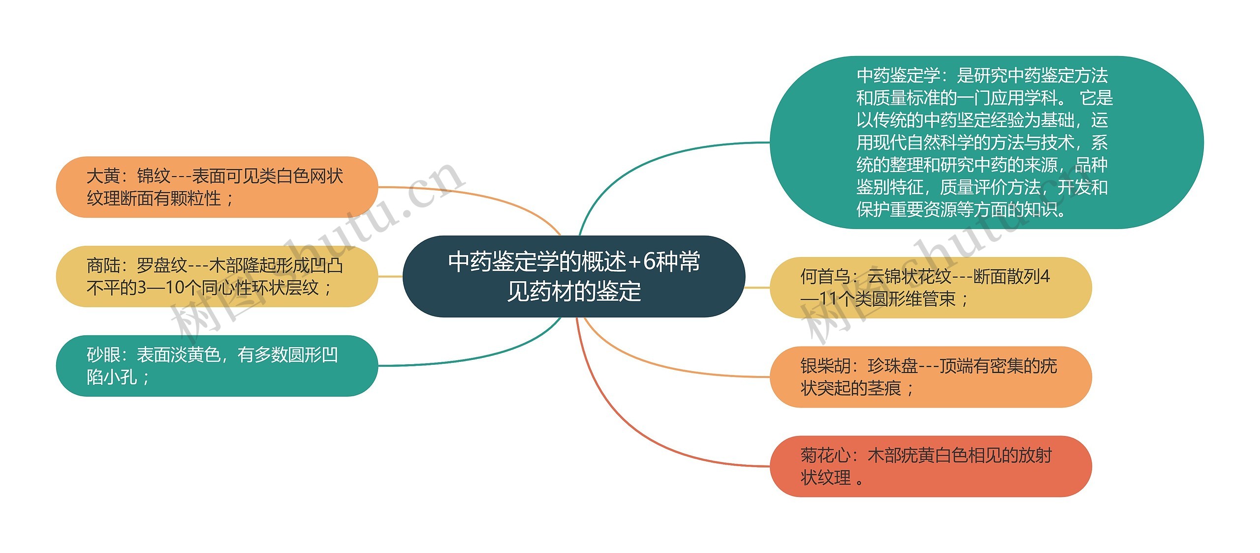 中药鉴定学的概述+6种常见药材的鉴定