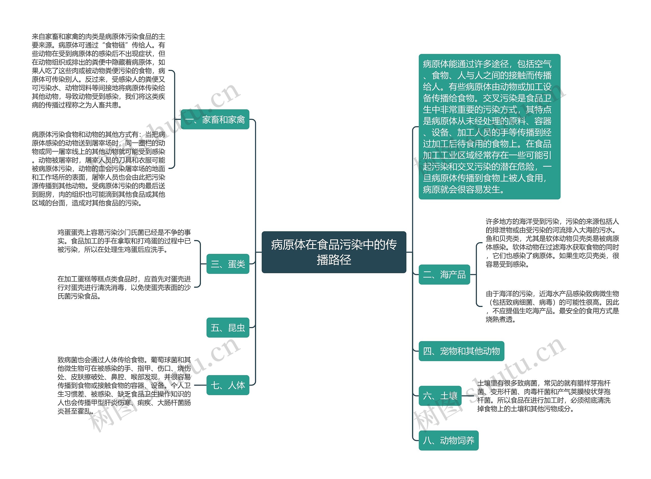 病原体在食品污染中的传播路径