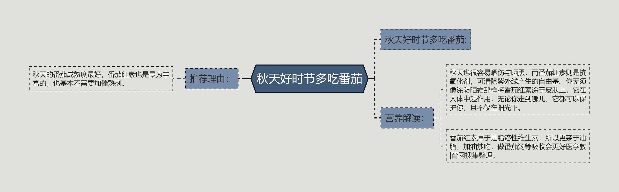 秋天好时节多吃番茄思维导图