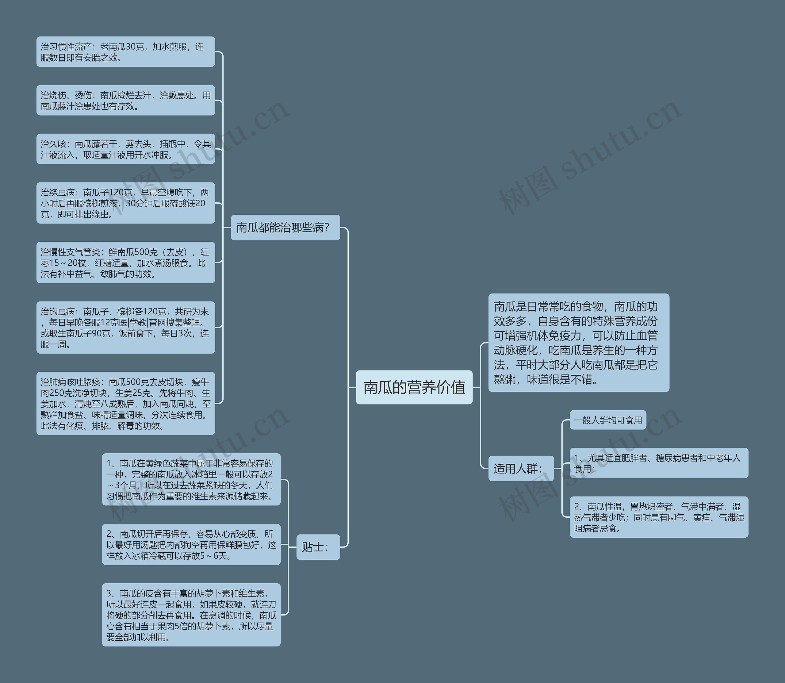 南瓜的营养价值思维导图