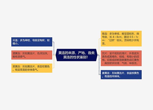 黄连的来源、产地、各类黄连的性状鉴别！