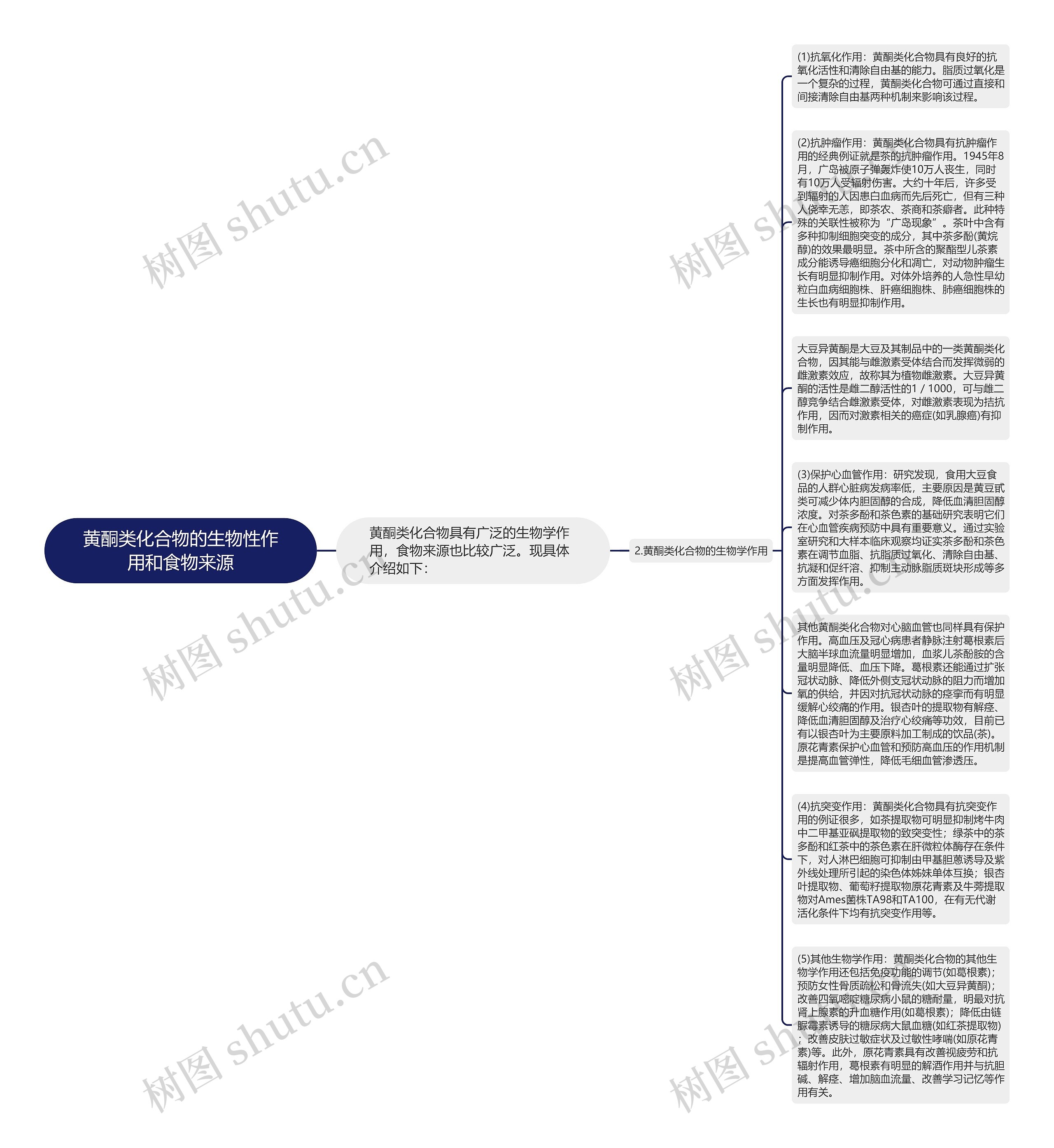 黄酮类化合物的生物性作用和食物来源思维导图