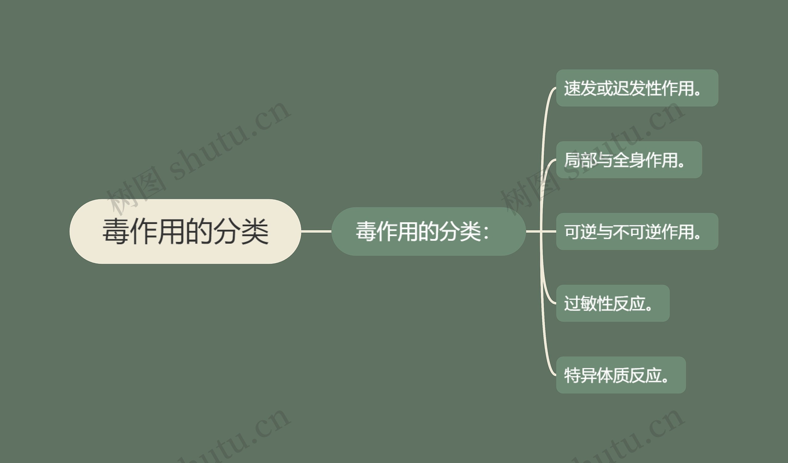 毒作用的分类思维导图