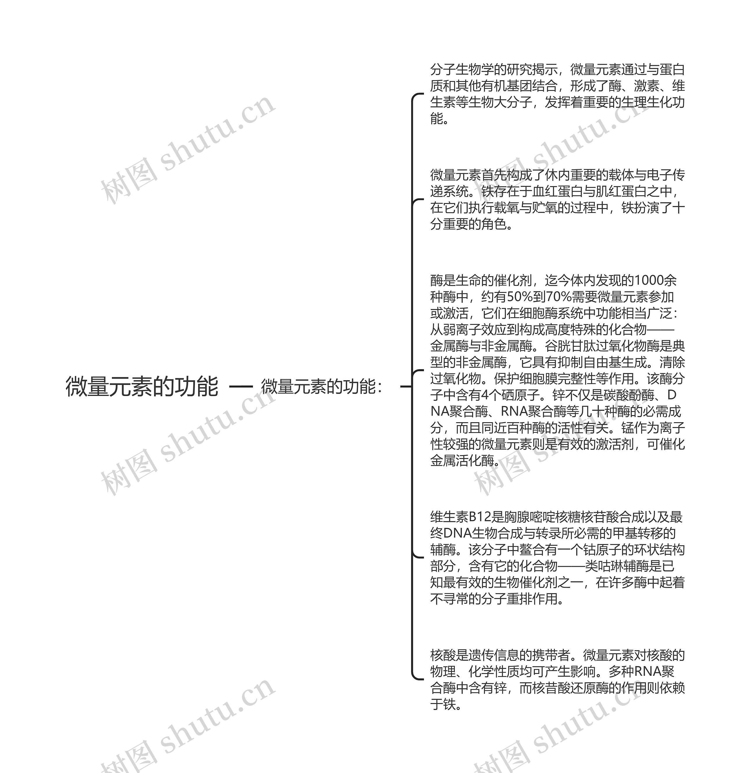 微量元素的功能思维导图