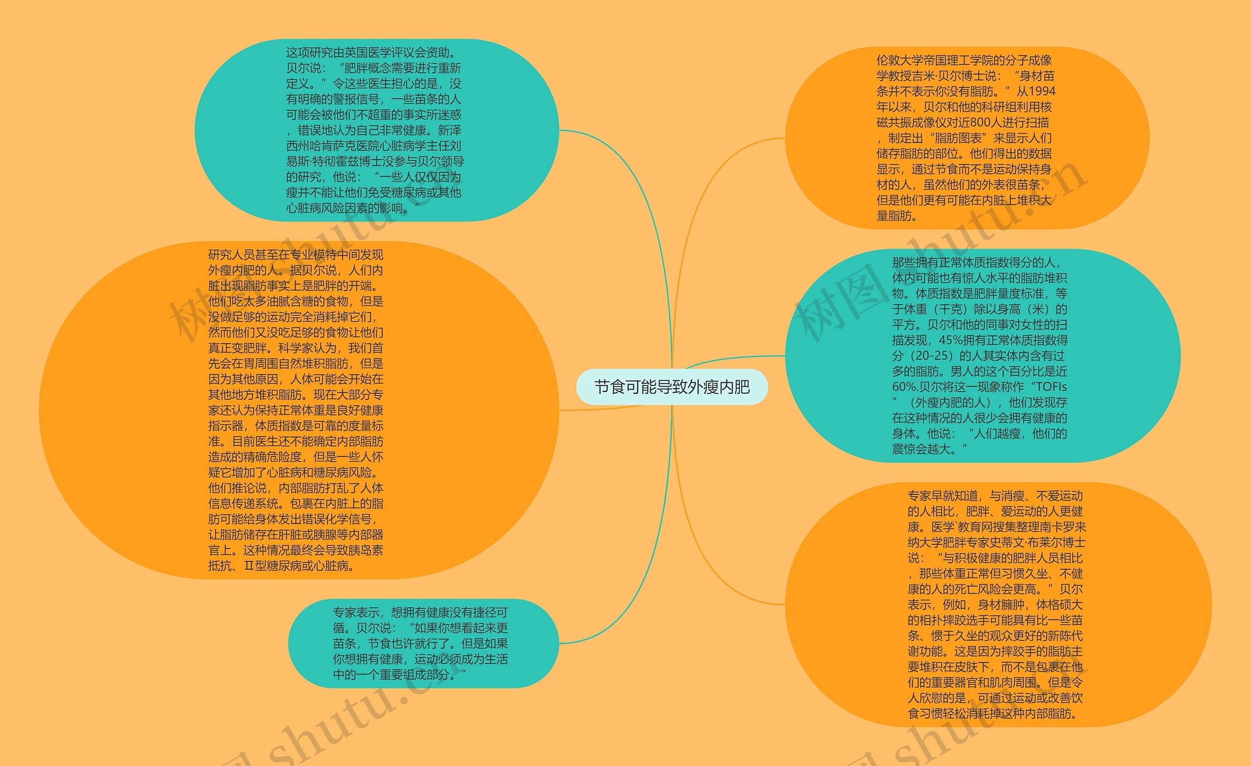 节食可能导致外瘦内肥思维导图