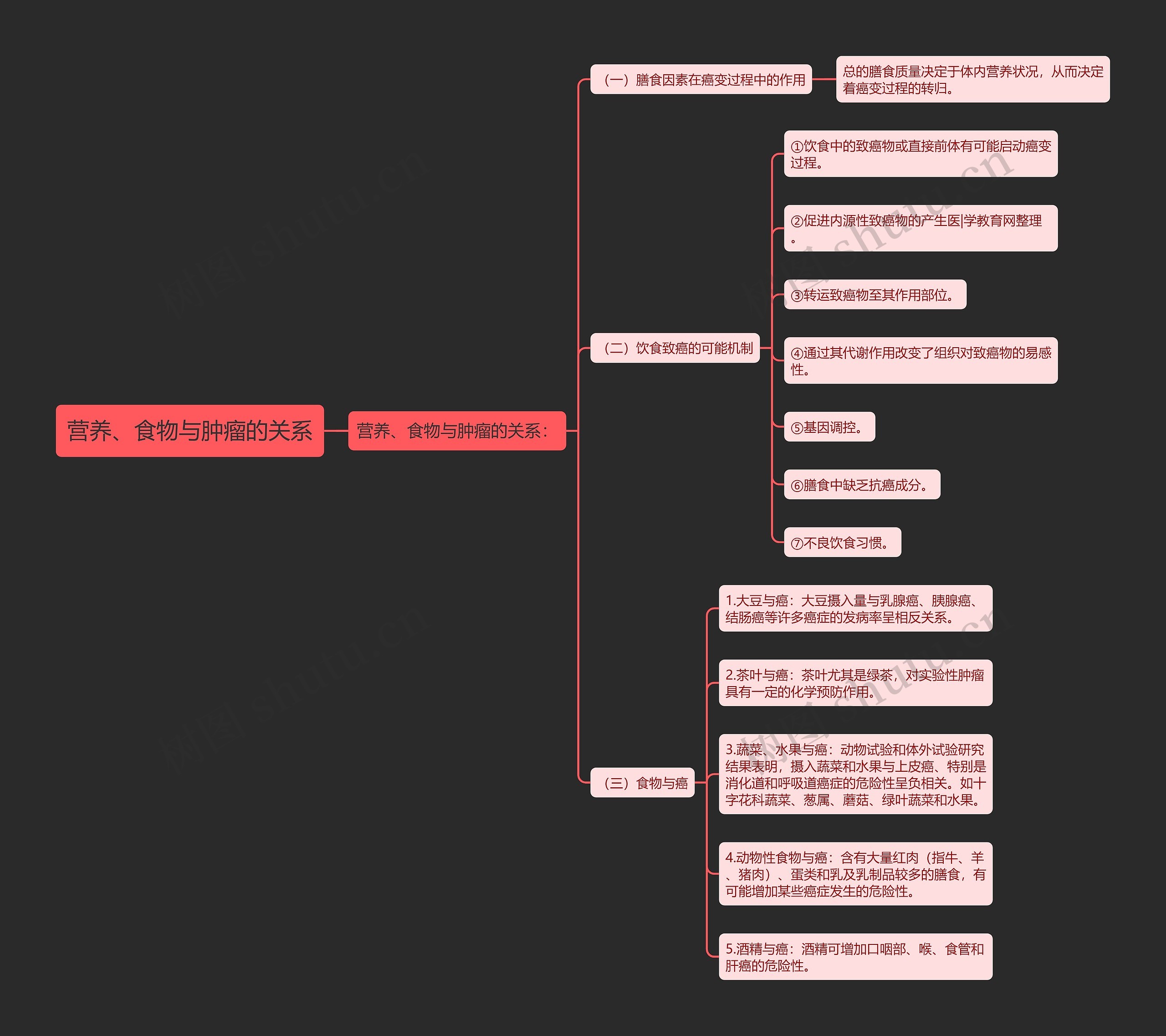 营养、食物与肿瘤的关系思维导图