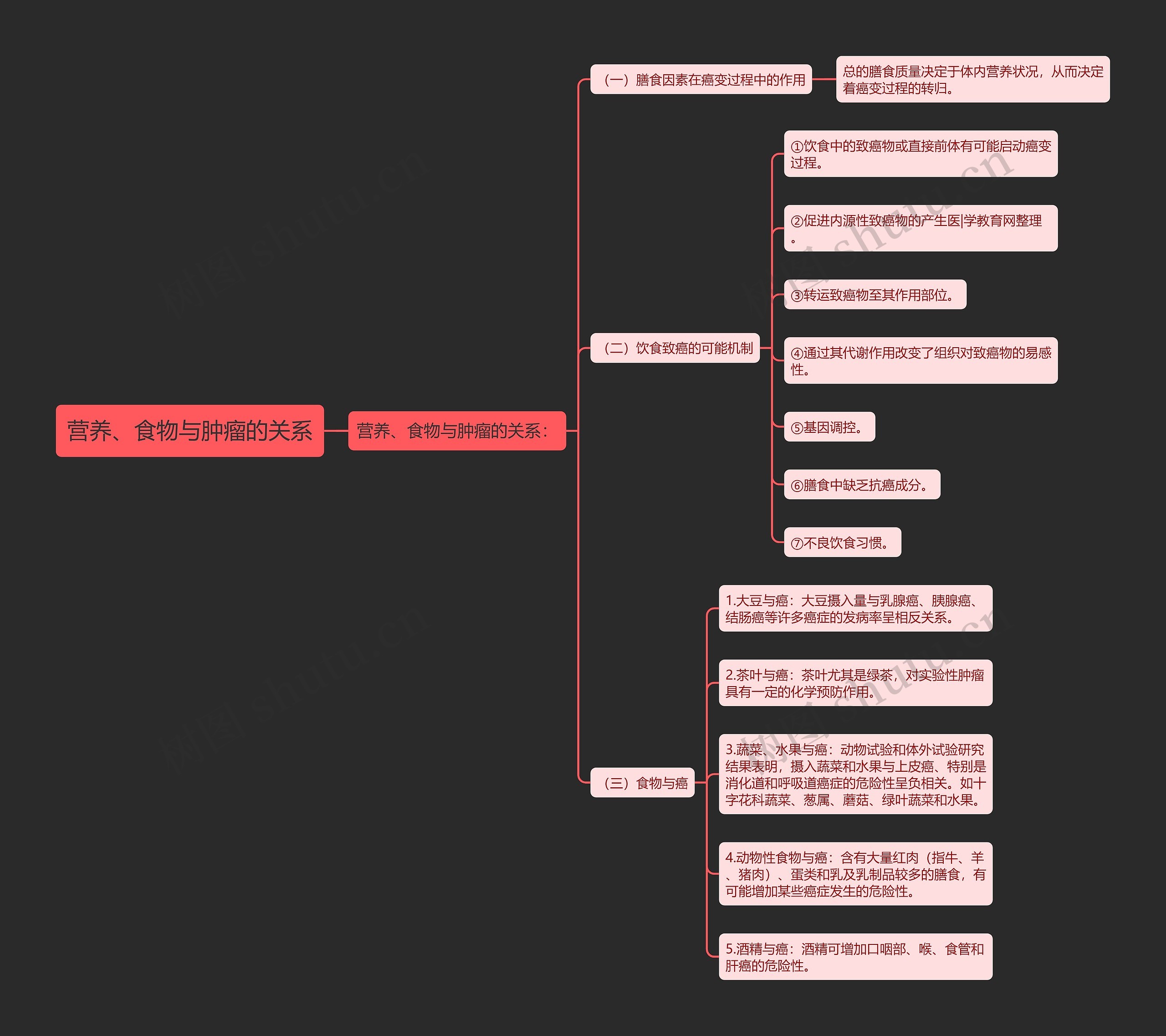 营养、食物与肿瘤的关系 营养、食物与肿瘤的关系