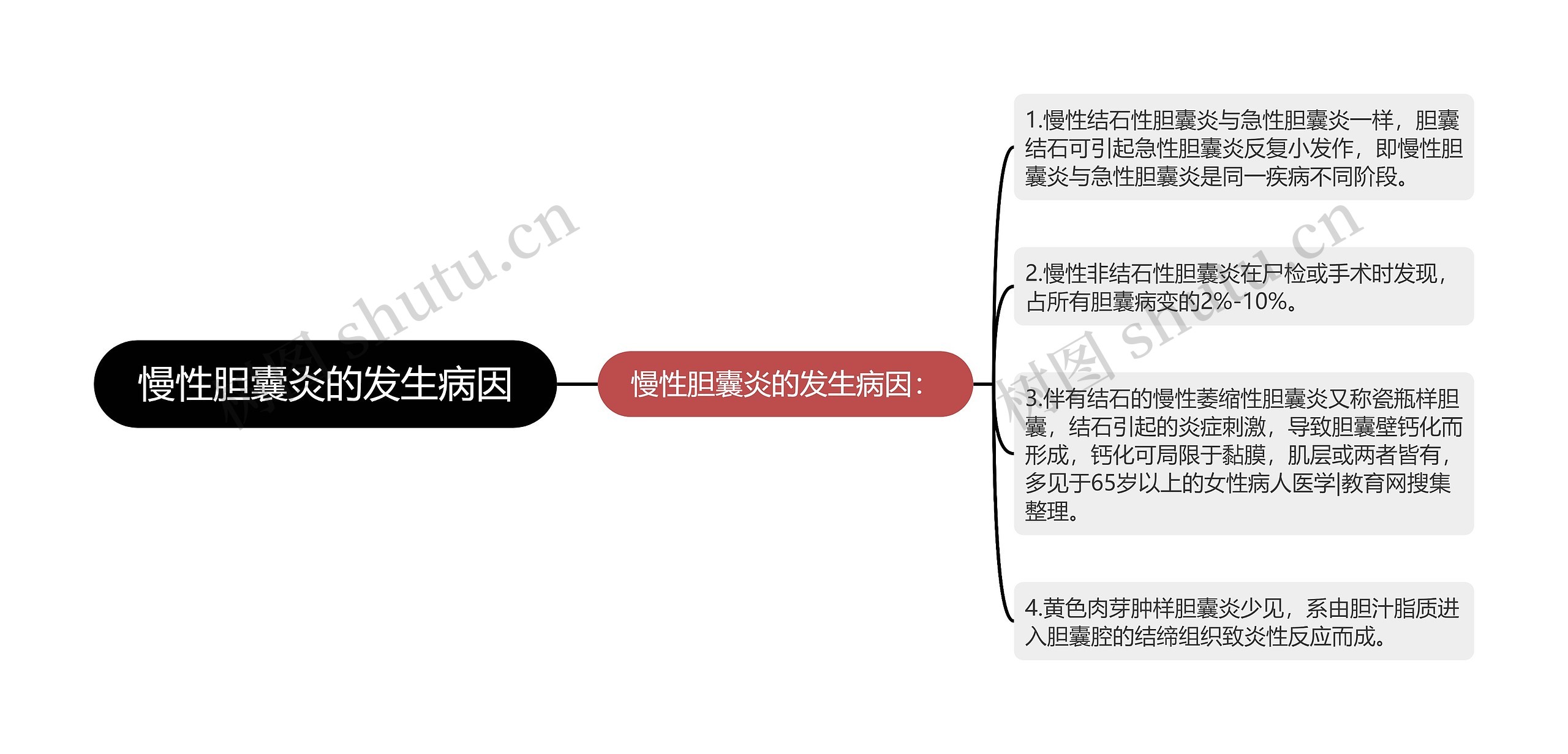 慢性胆囊炎的发生病因