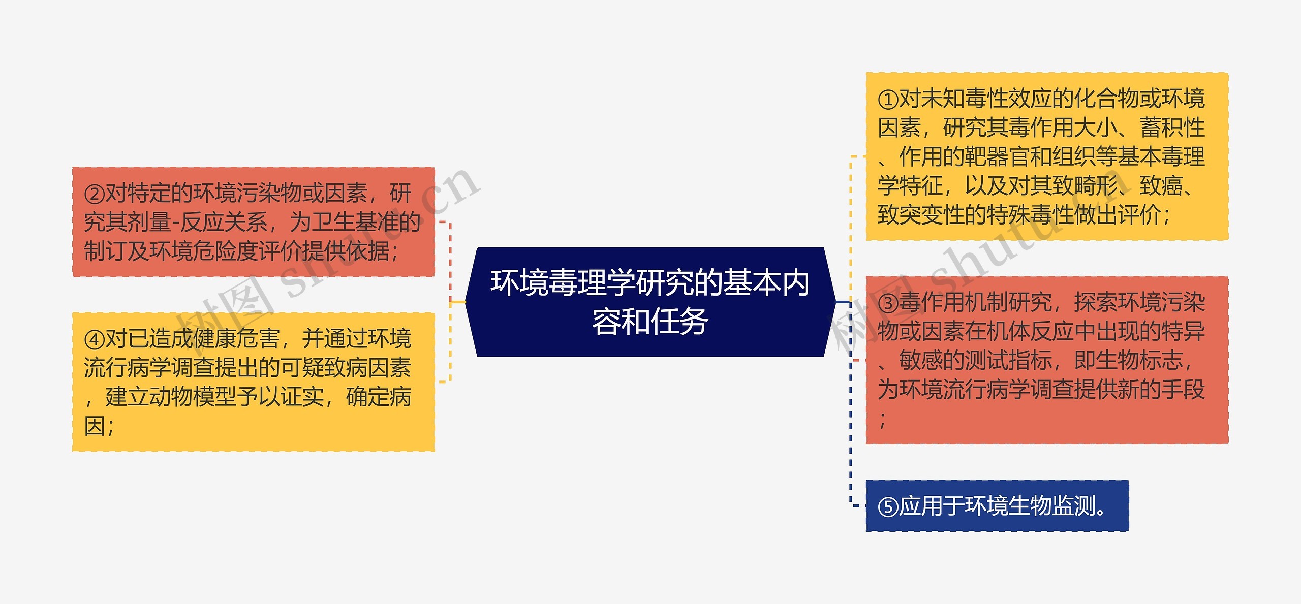 环境毒理学研究的基本内容和任务思维导图