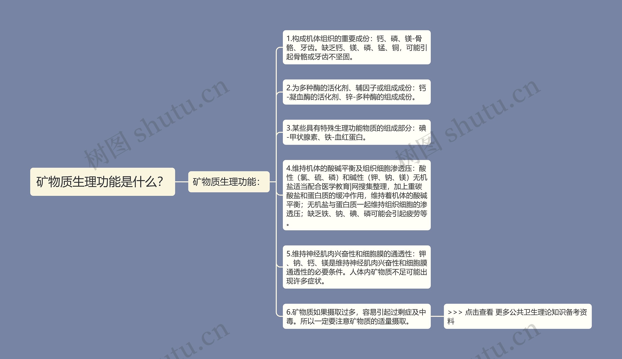 矿物质生理功能是什么？思维导图