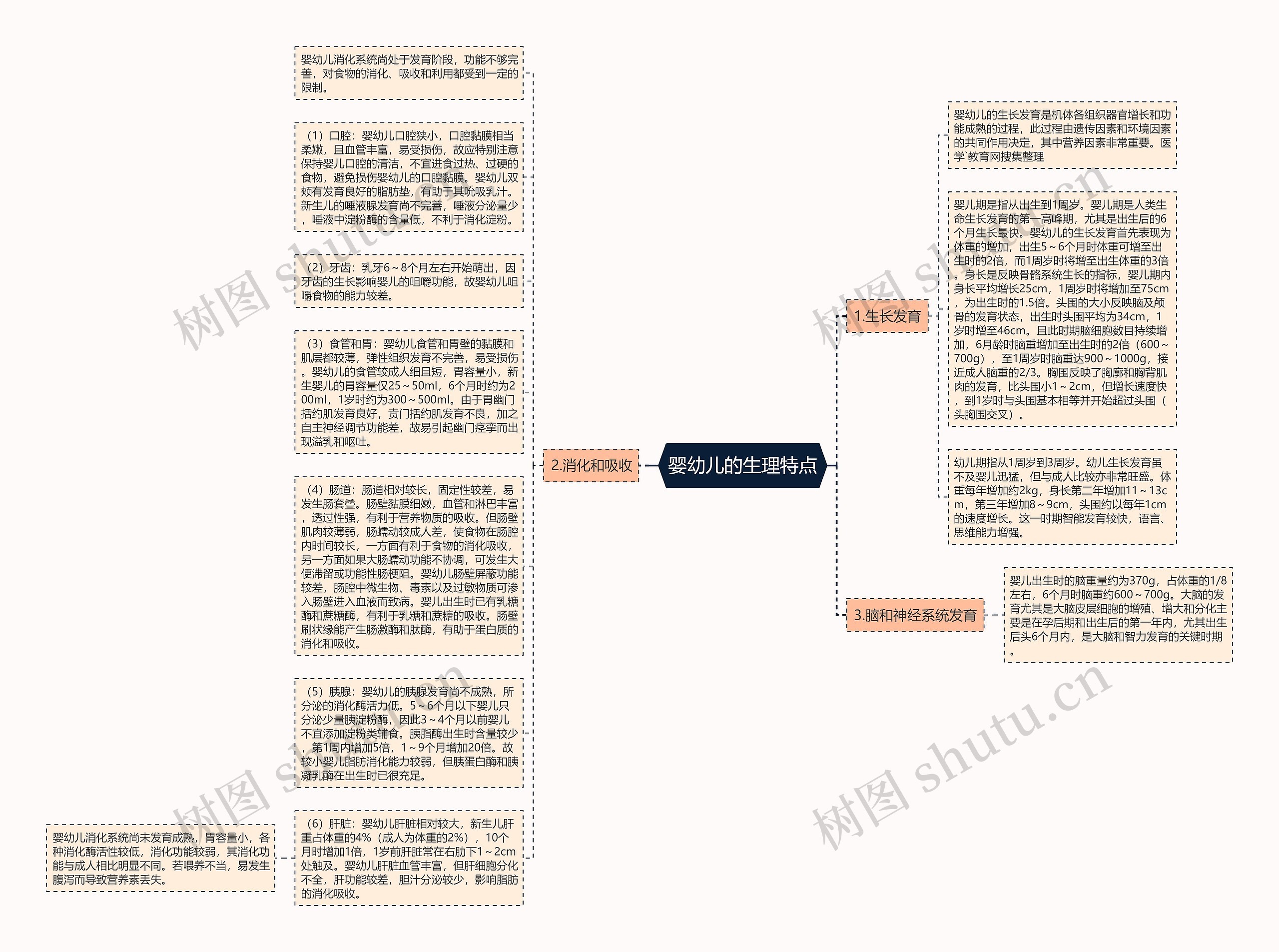婴幼儿的生理特点思维导图