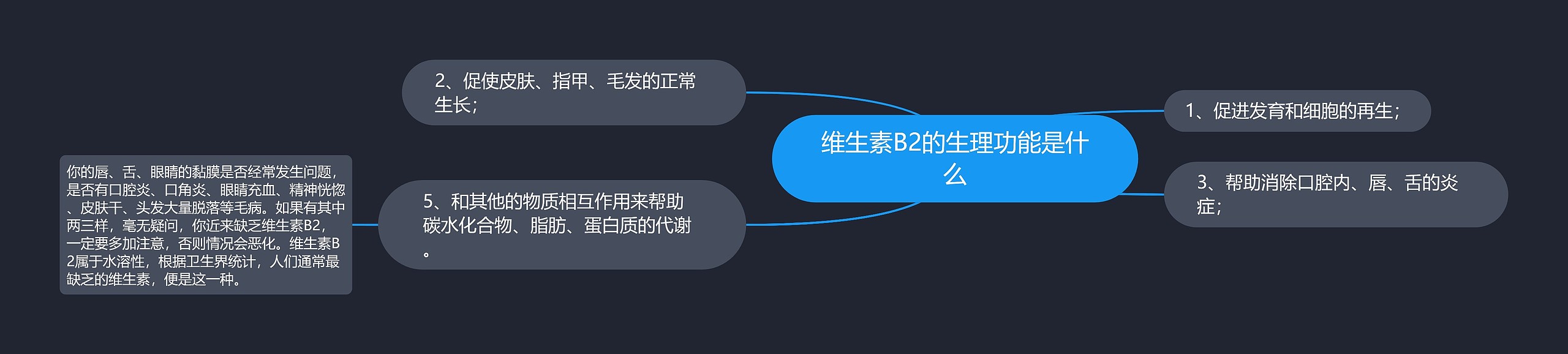 维生素B2的生理功能是什么