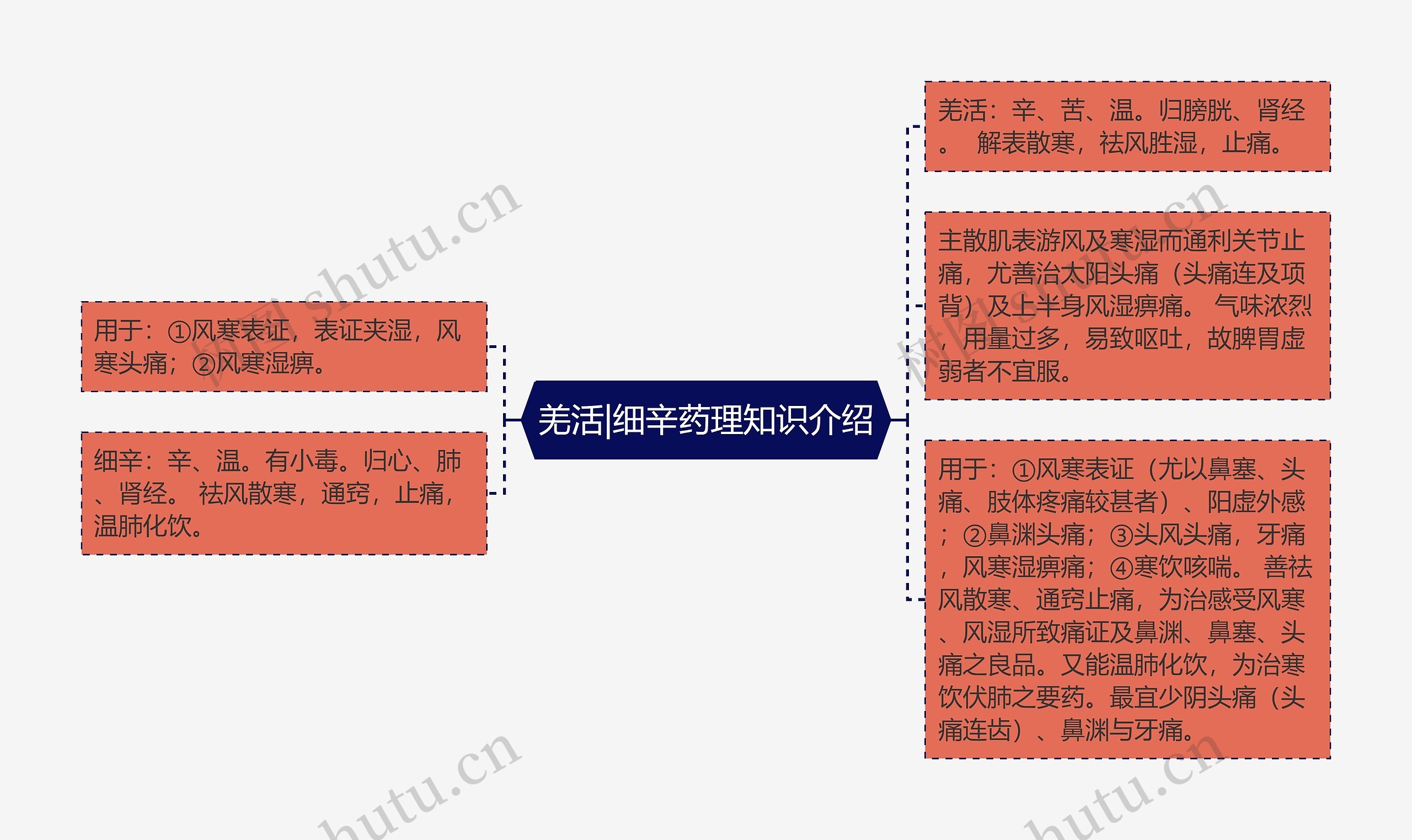 羌活|细辛药理知识介绍思维导图