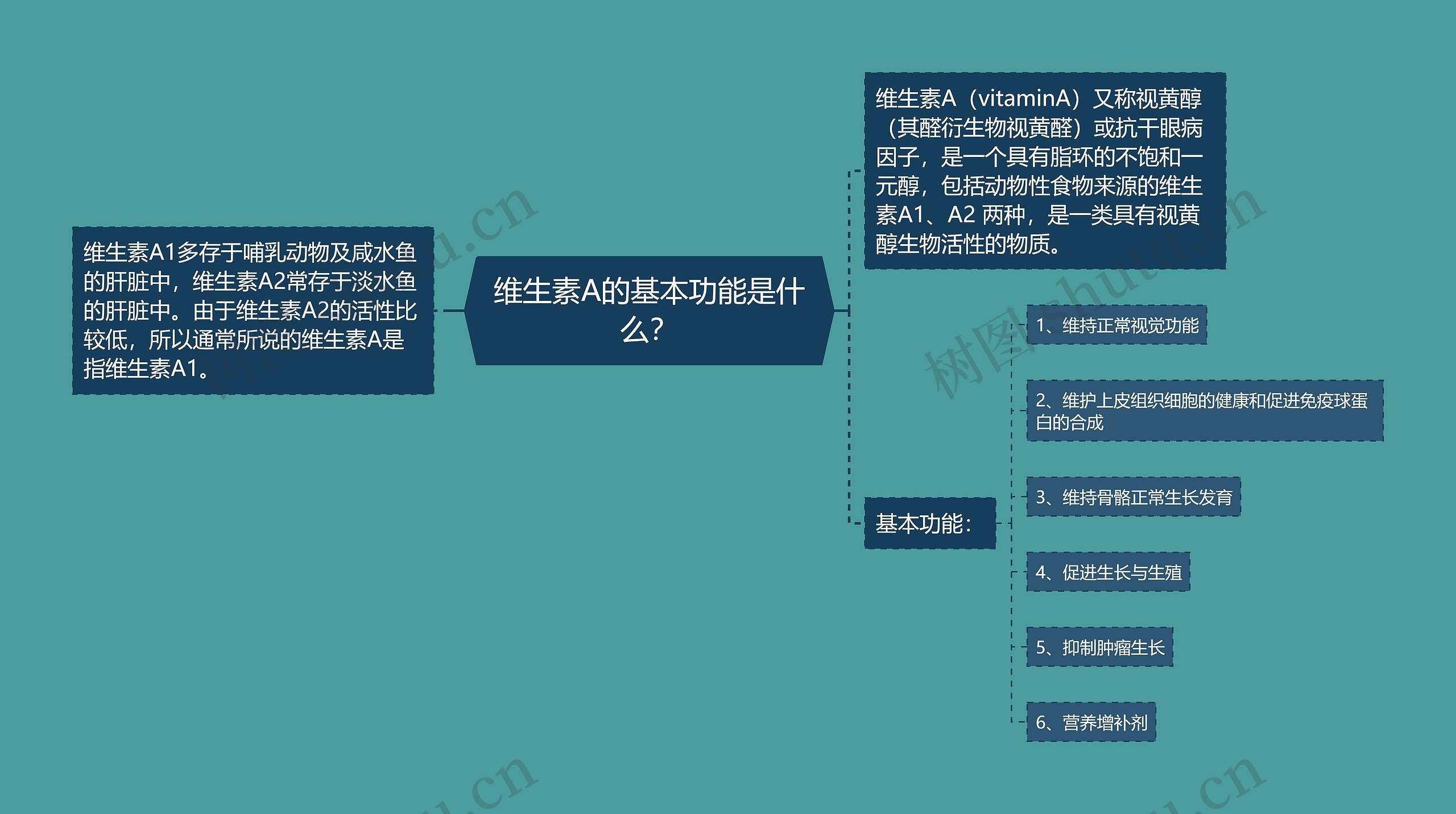 维生素A的基本功能是什么? 维生素A的基本功能是什么?