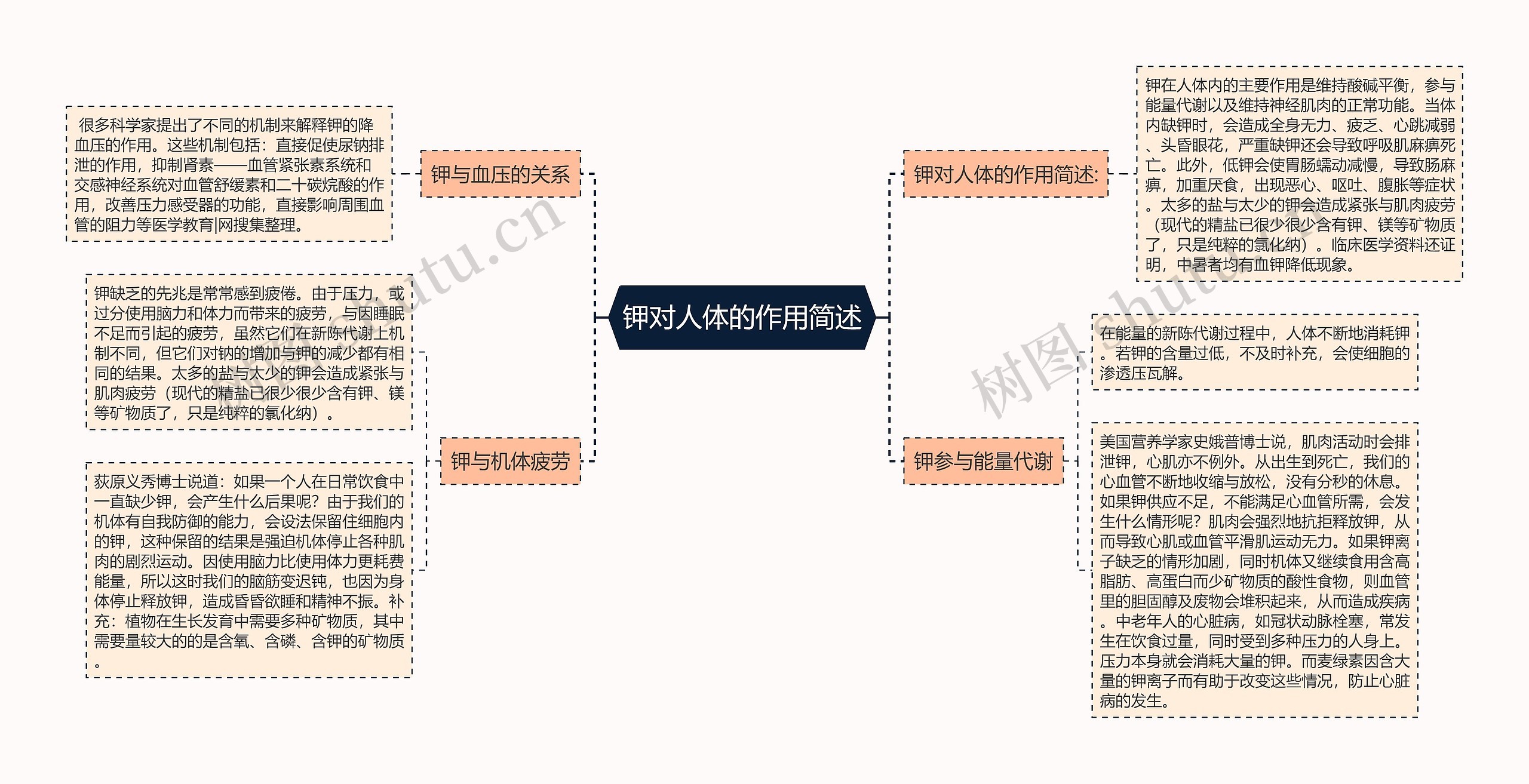 钾对人体的作用简述思维导图