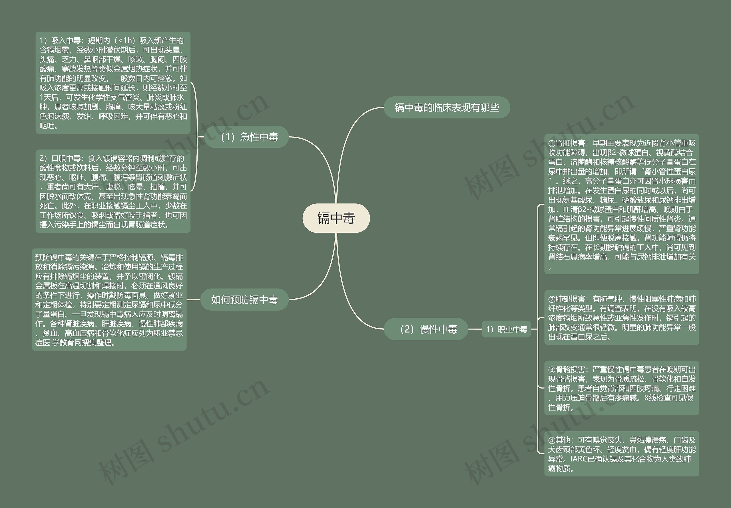 镉中毒思维导图