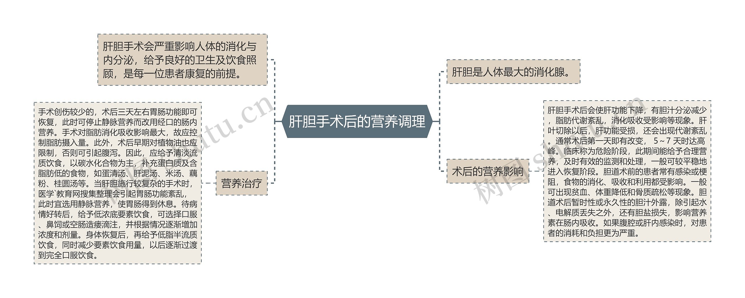 肝胆手术后的营养调理思维导图