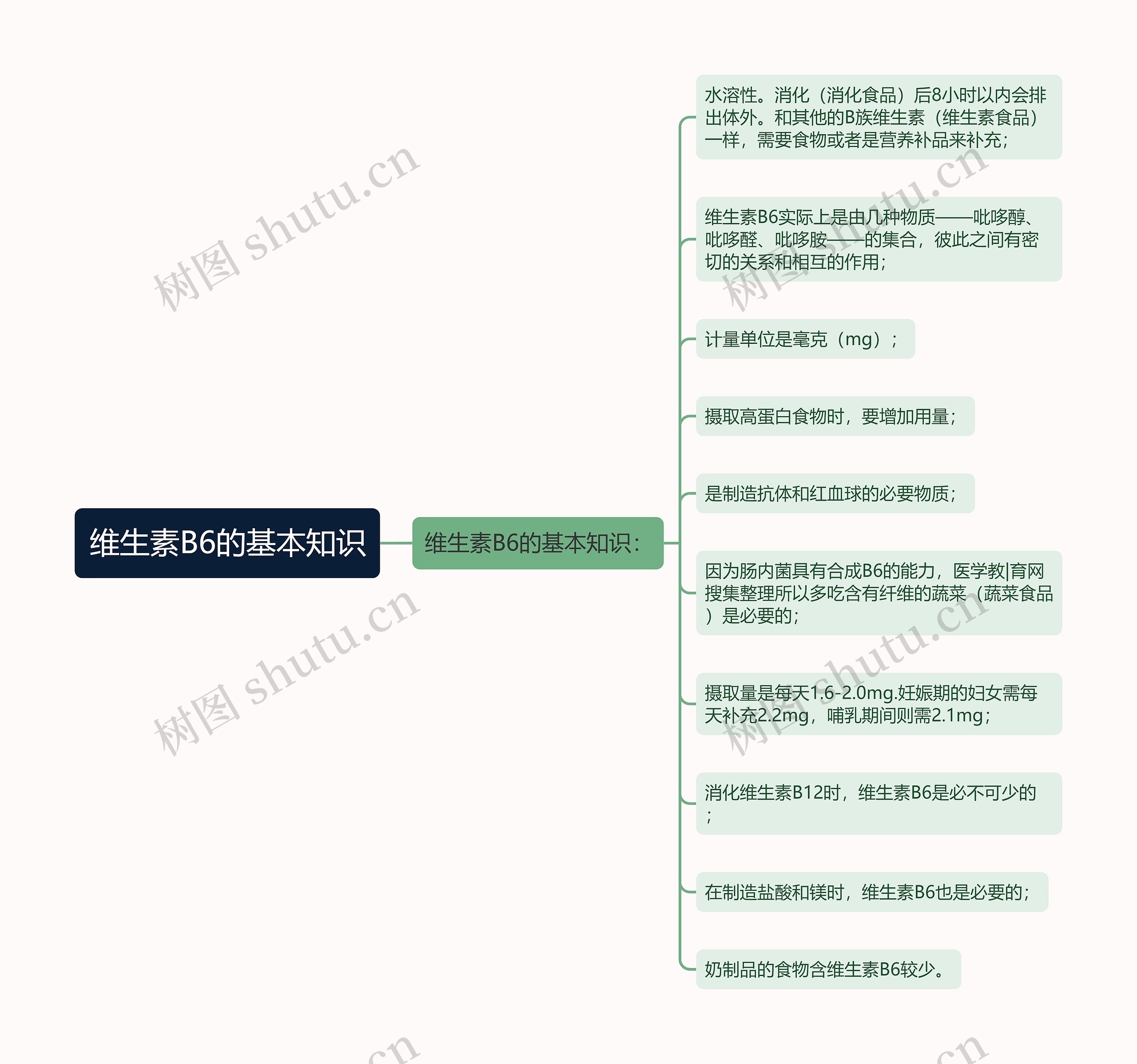 维生素B6的基本知识