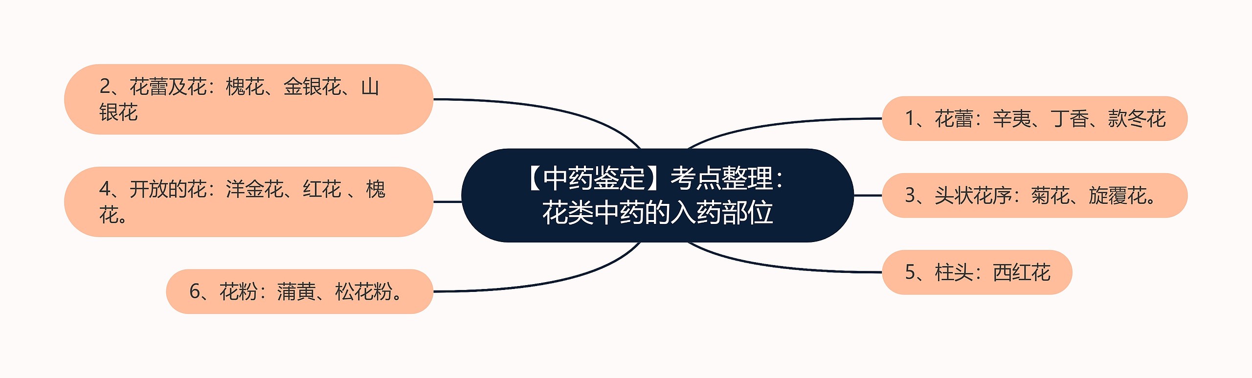 【中药鉴定】考点整理：花类中药的入药部位