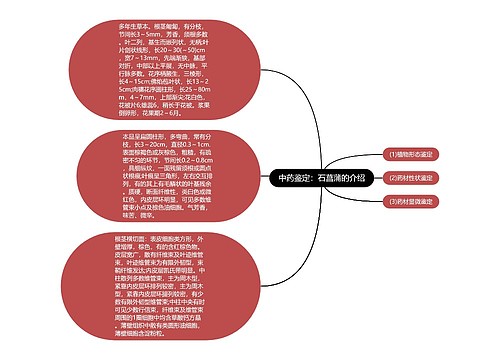 中药鉴定：石菖蒲的介绍