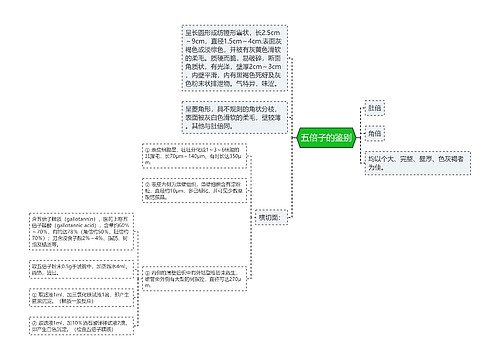 五倍子的鉴别