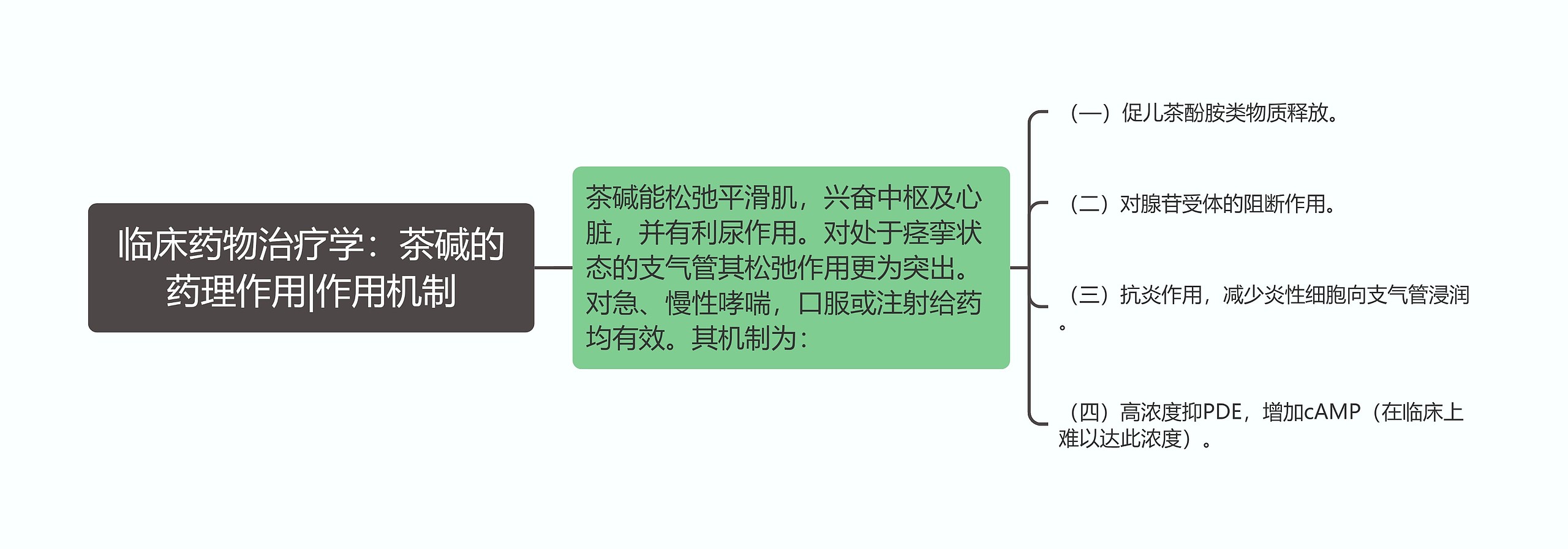 临床药物治疗学：茶碱的药理作用|作用机制