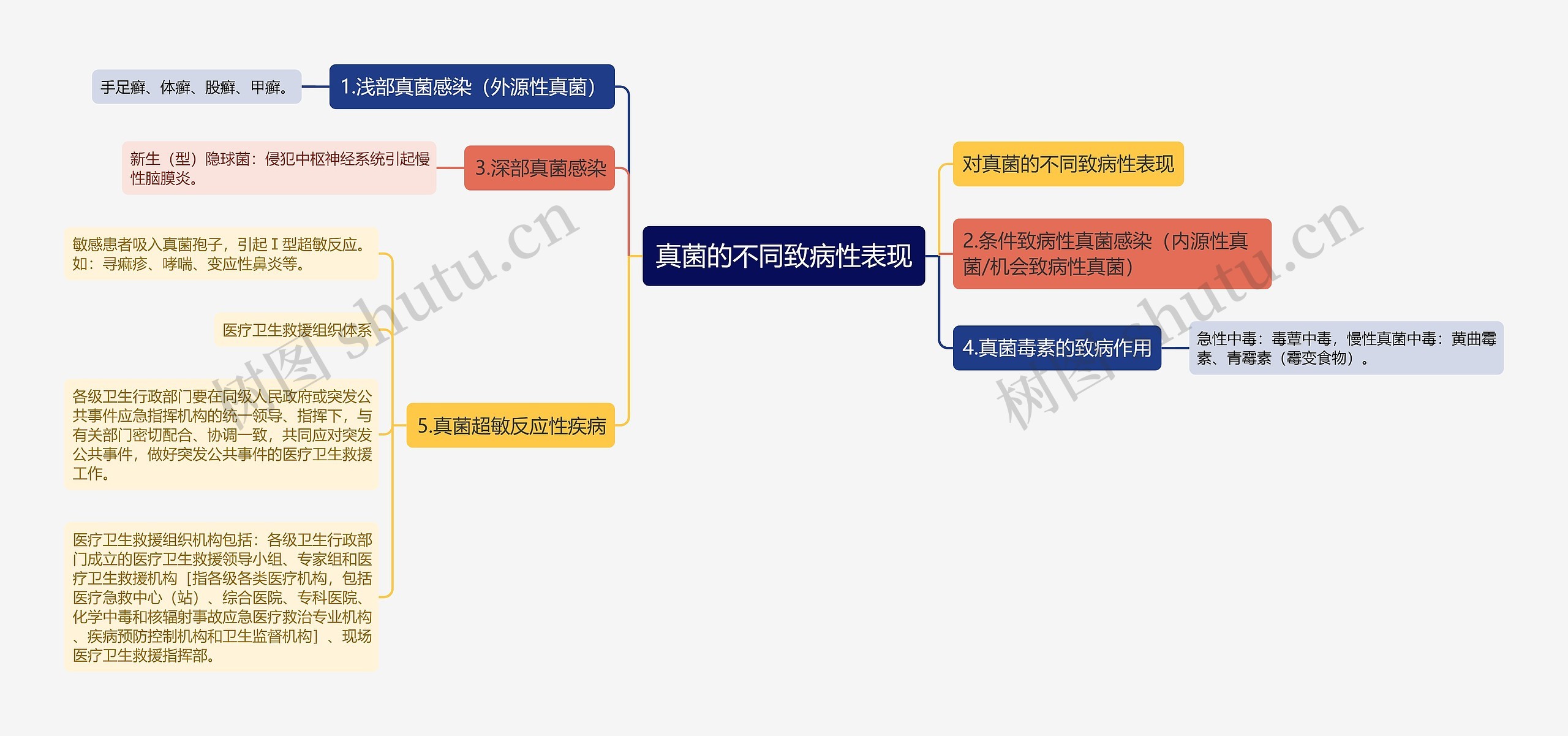 真菌的不同致病性表现