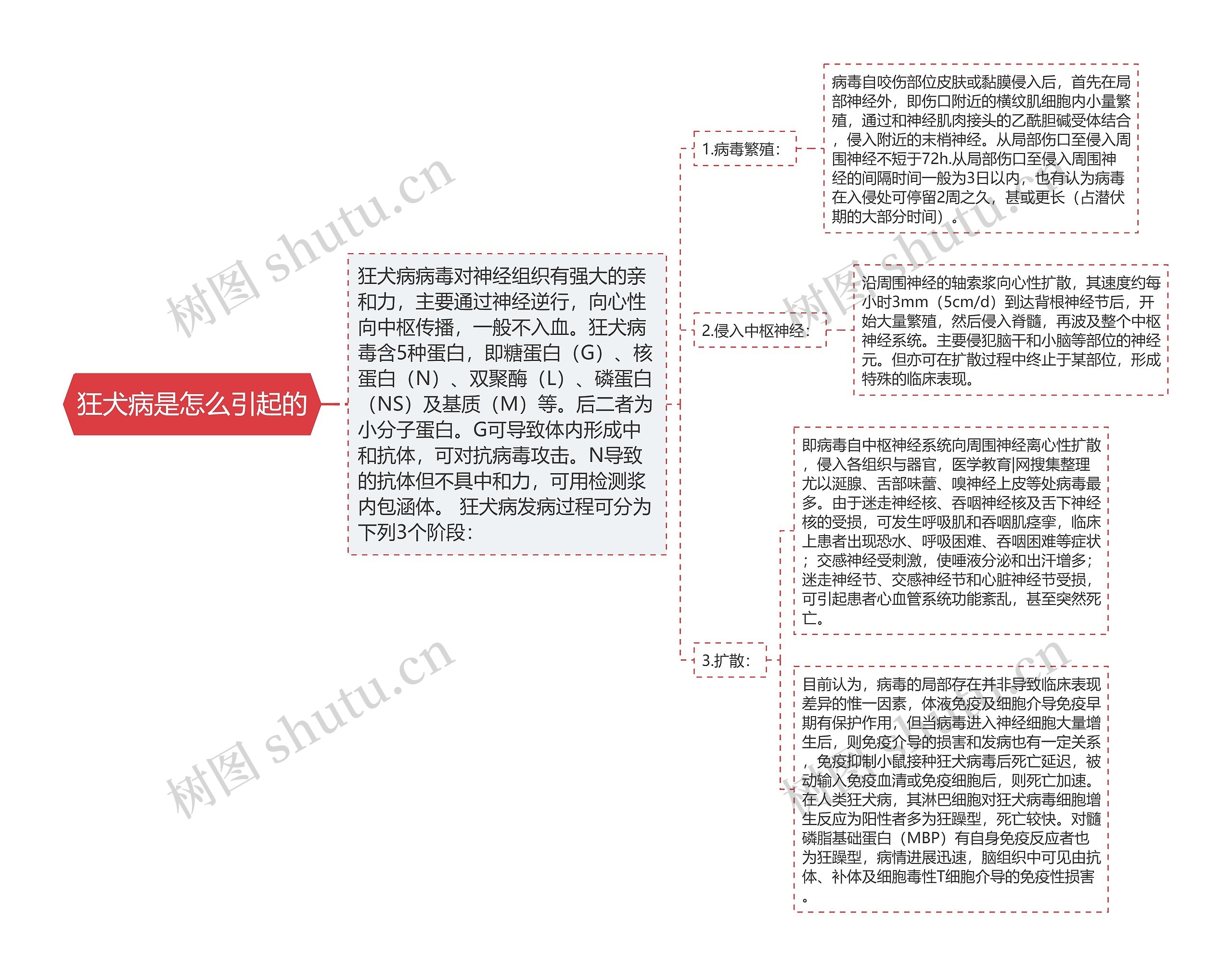 狂犬病是怎么引起的思维导图