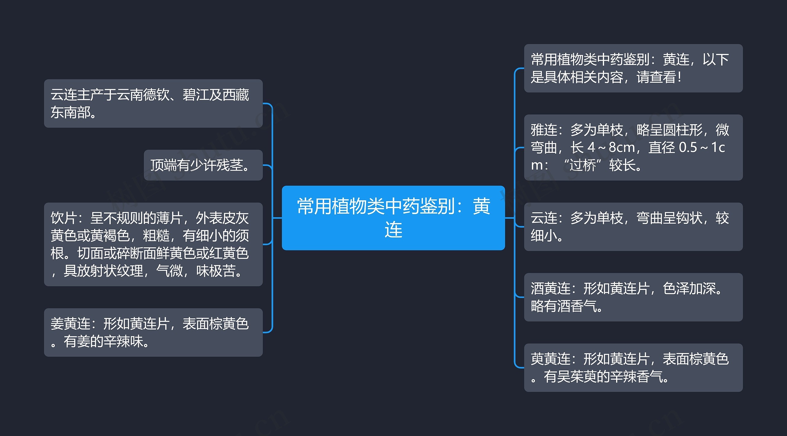 常用植物类中药鉴别:黄连 常用植物类中药鉴别:黄连
