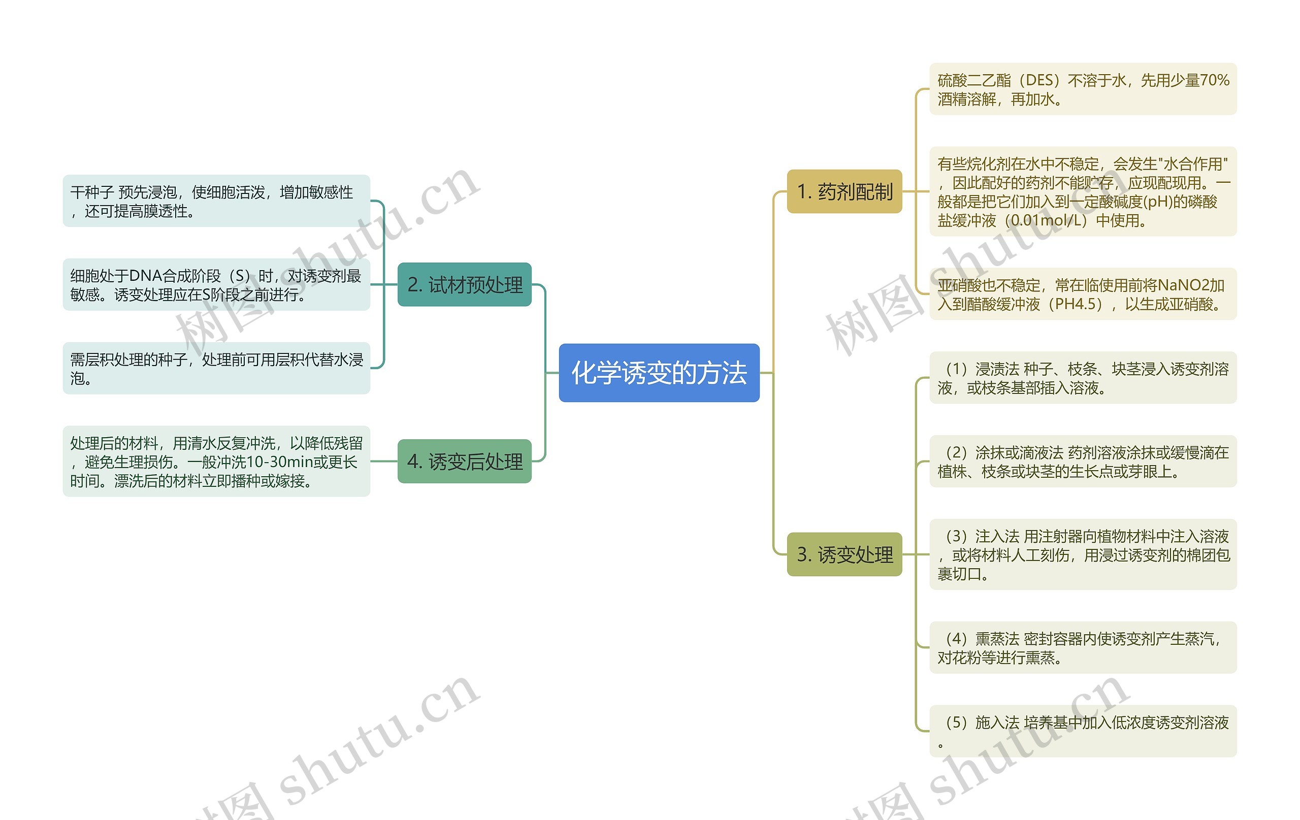 化学诱变的方法思维导图