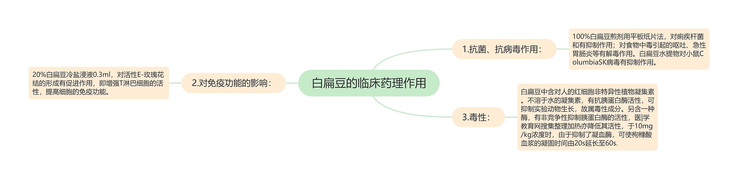 白扁豆的临床药理作用思维导图