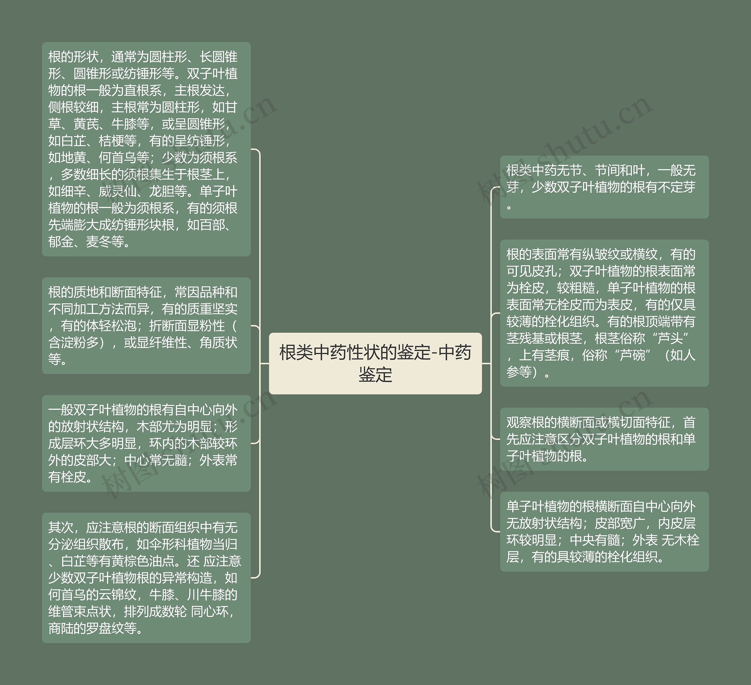 根类中药性状的鉴定-中药鉴定思维导图