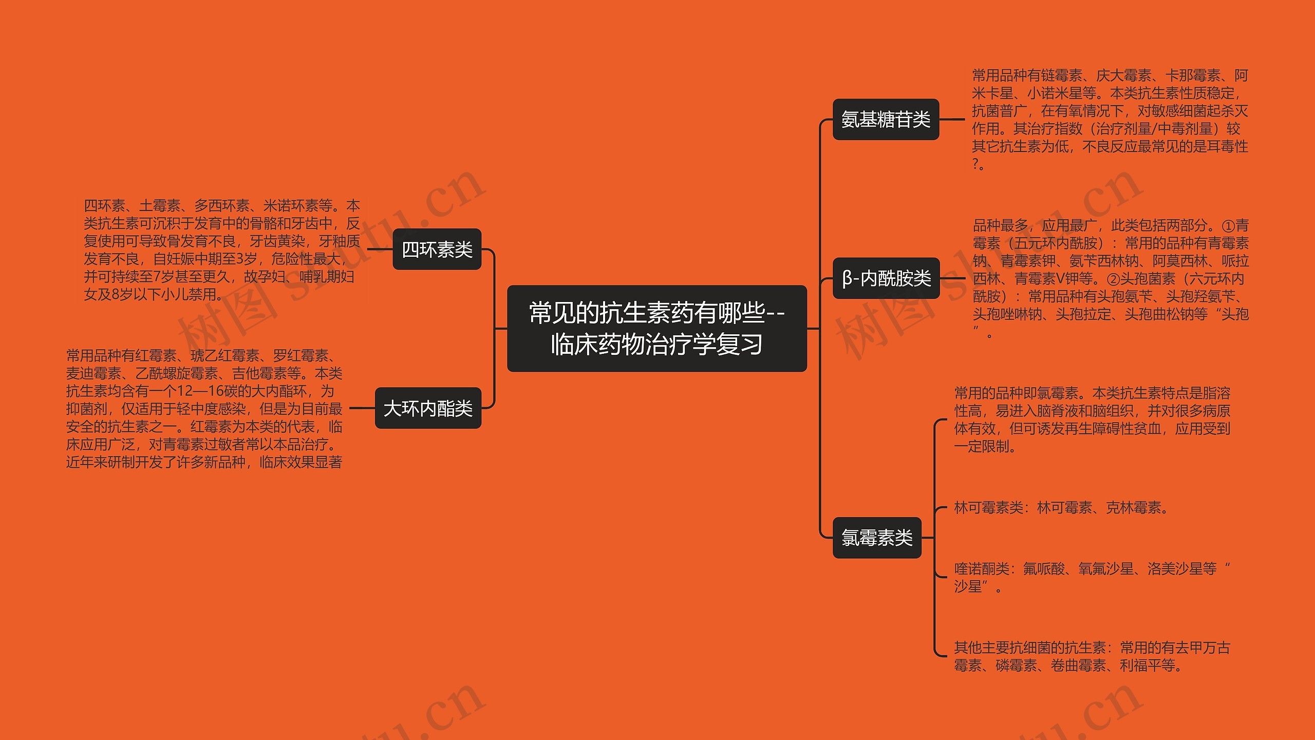 ​常见的抗生素药有哪些--临床药物治疗学复习思维导图