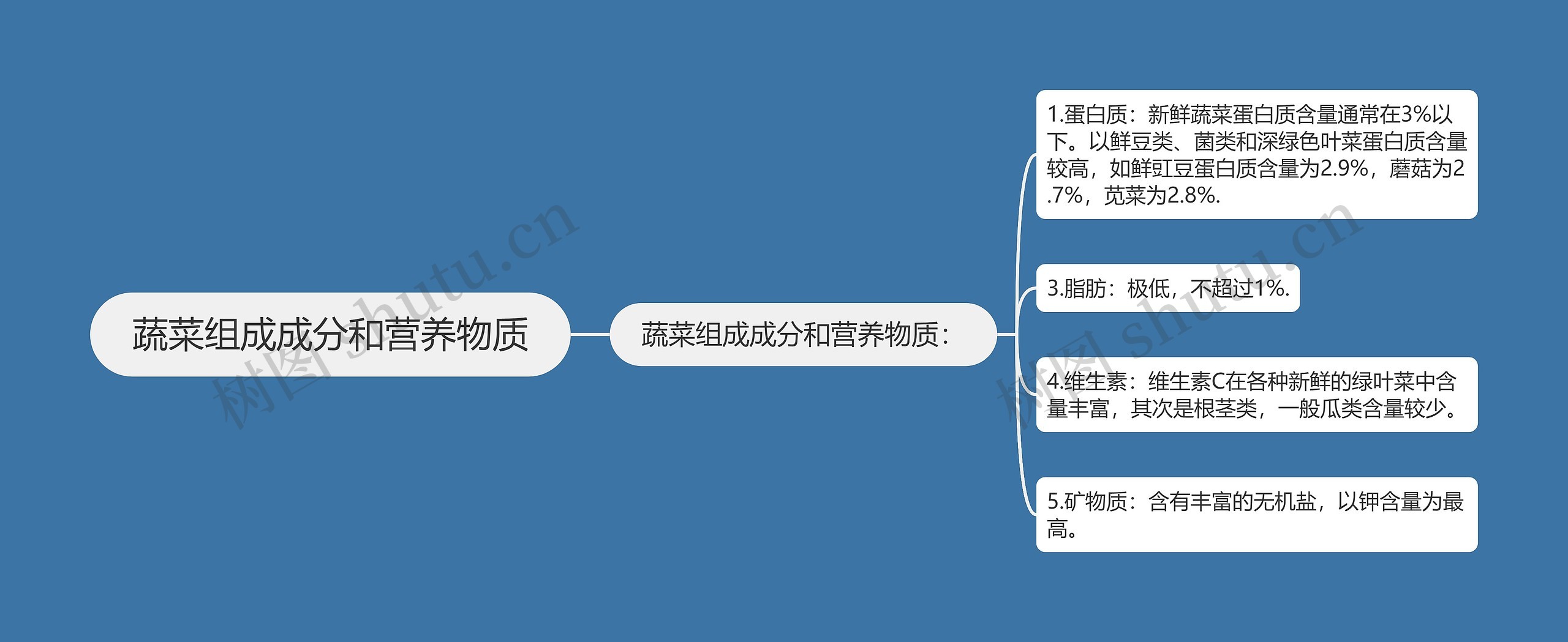 蔬菜组成成分和营养物质思维导图