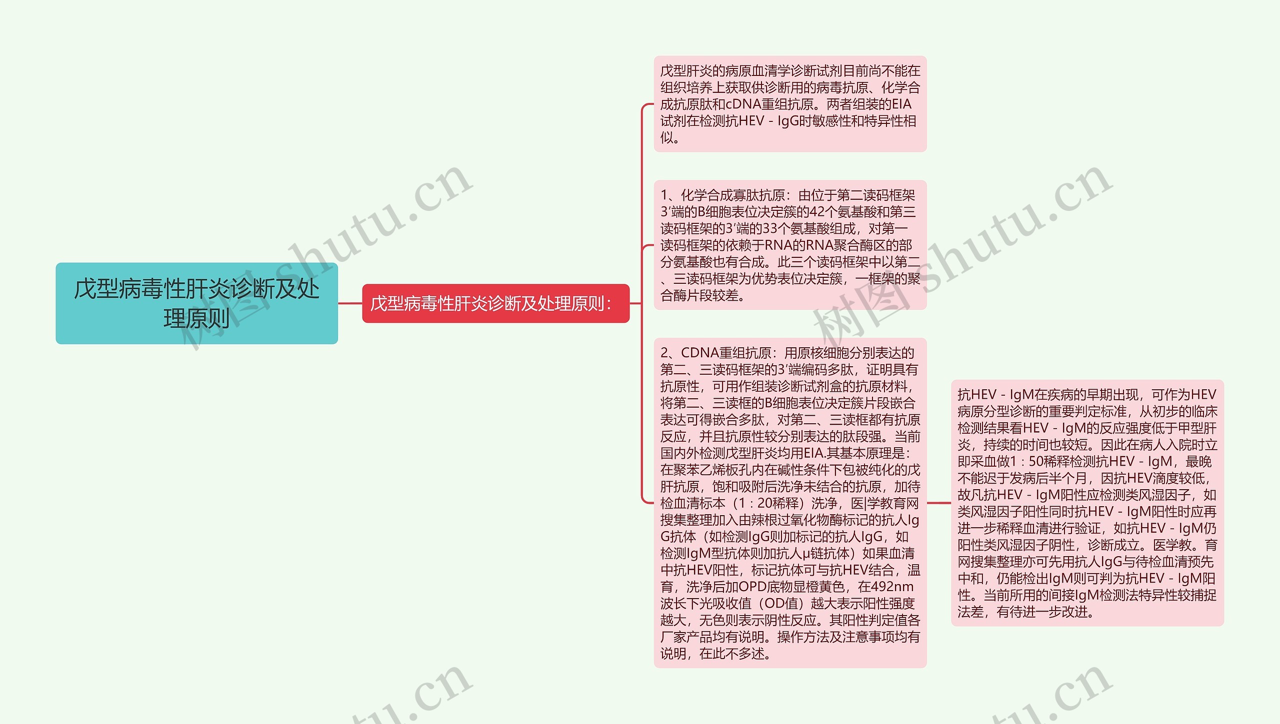 戊型病毒性肝炎诊断及处理原则