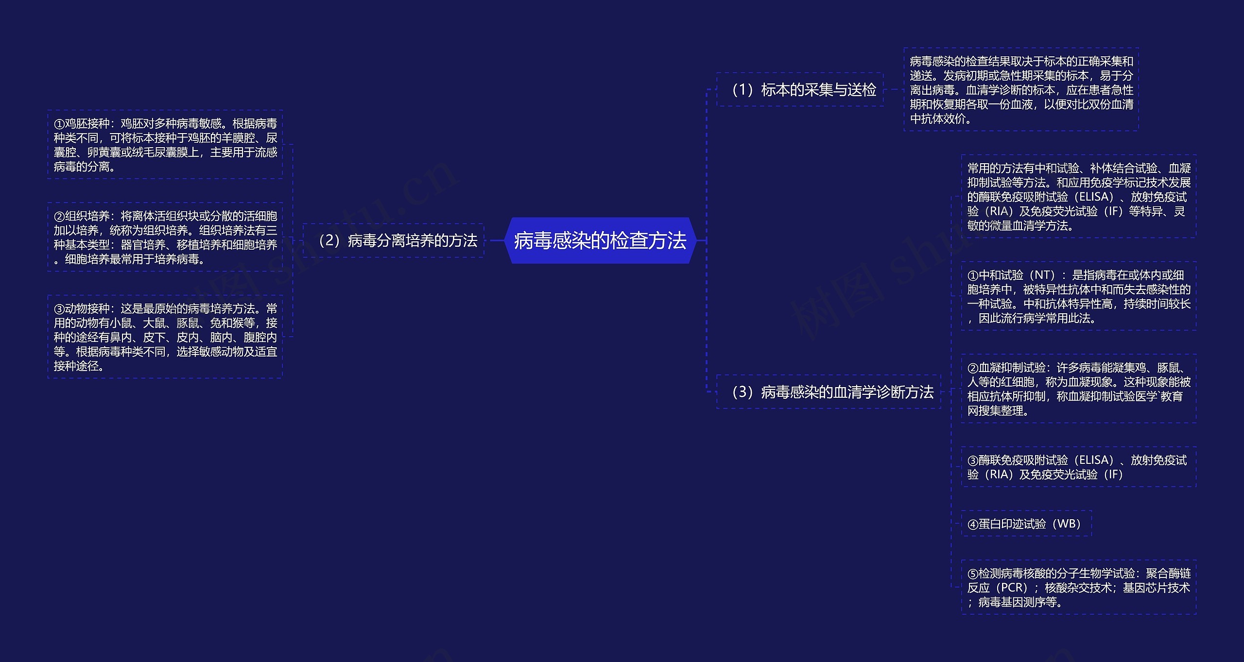 病毒感染的检查方法 病毒感染的检查方法