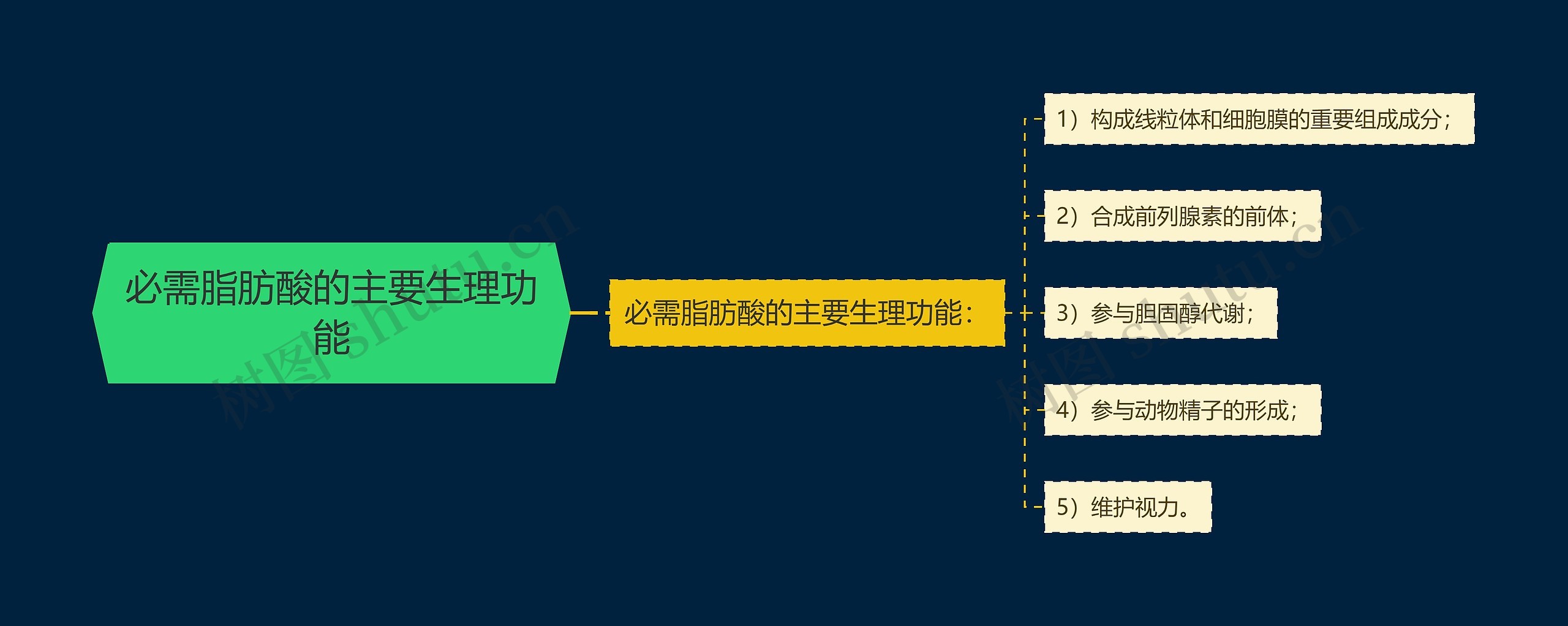 必需脂肪酸的主要生理功能